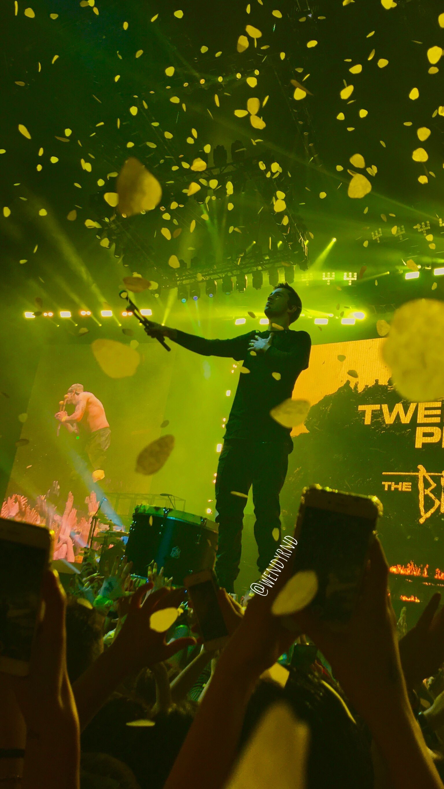 1540x2730 Twenty One Pilots Concert Wallpaper Free Twenty One Pilots Concert Background, Phone