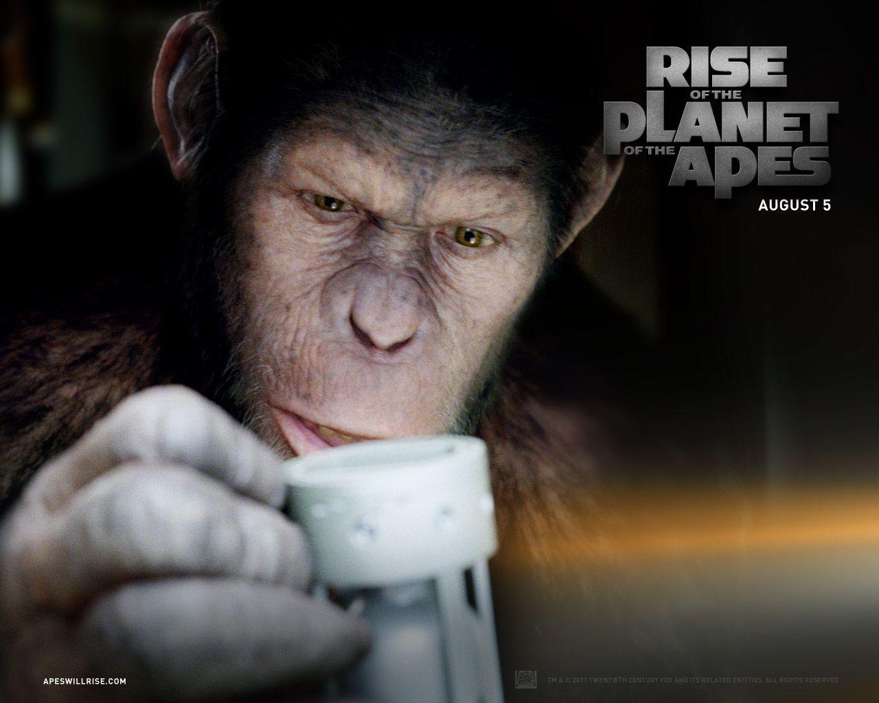 1280x1030 Why Caesar Looks So Human in Rise of the Planet of the Apes, Desktop