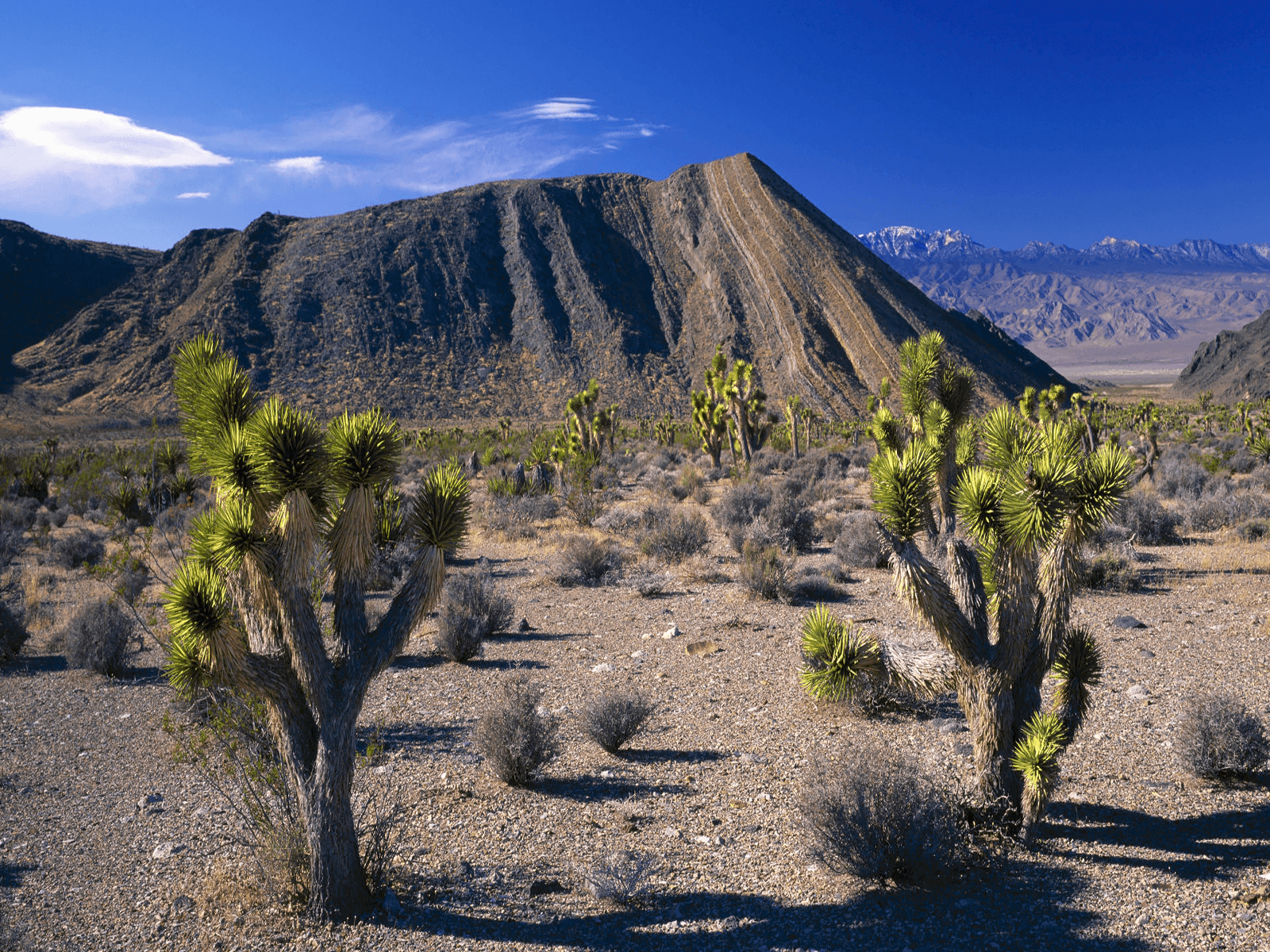 1600x1200 Nevada Wallpaper, Top Beautiful Nevada Image, 26 HD Widescreen, Desktop