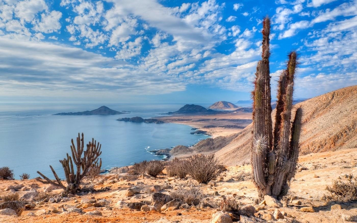 1400x880 nature, Landscape, Beach, Cactus, Sea, Hill, Clouds, Atacama Desert, Desktop