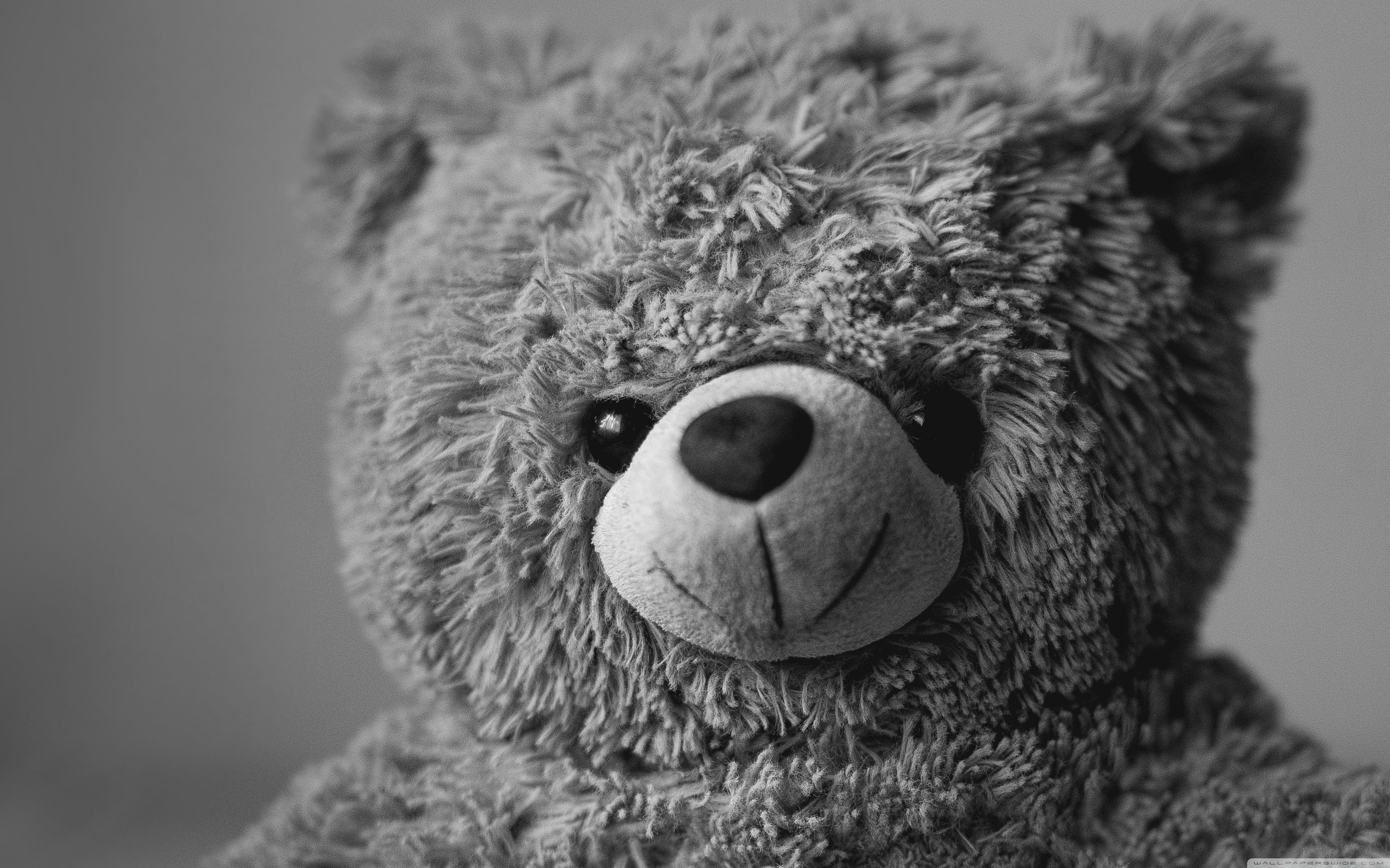 3840x2400 Teddy Bear Wallpaper 4k HD Wallpaper, Desktop