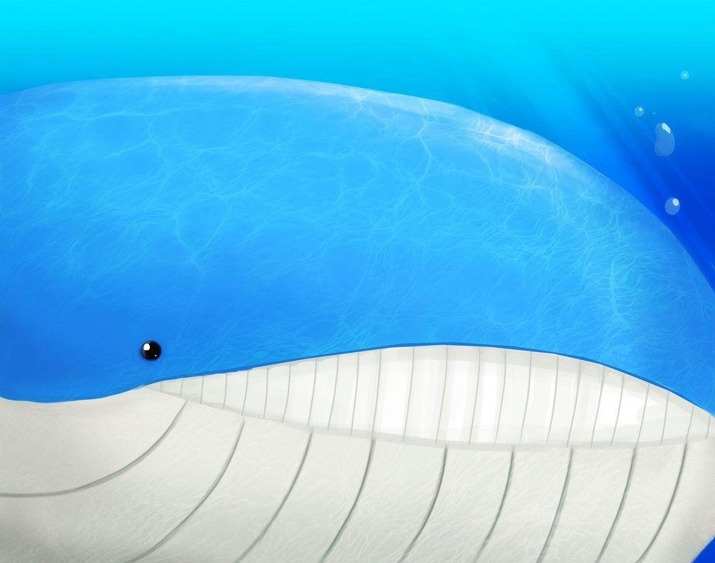 1010x800 Wailord, Desktop