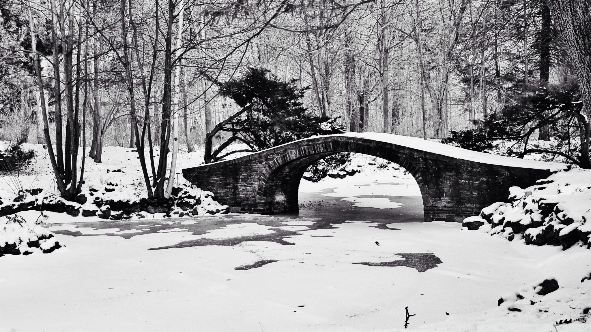 2050x1160 Hdwallpaper87.com Bridge in the winter forest Desktop Wallpaper. Free Bridge in the winter forest Phone Background Image, Desktop