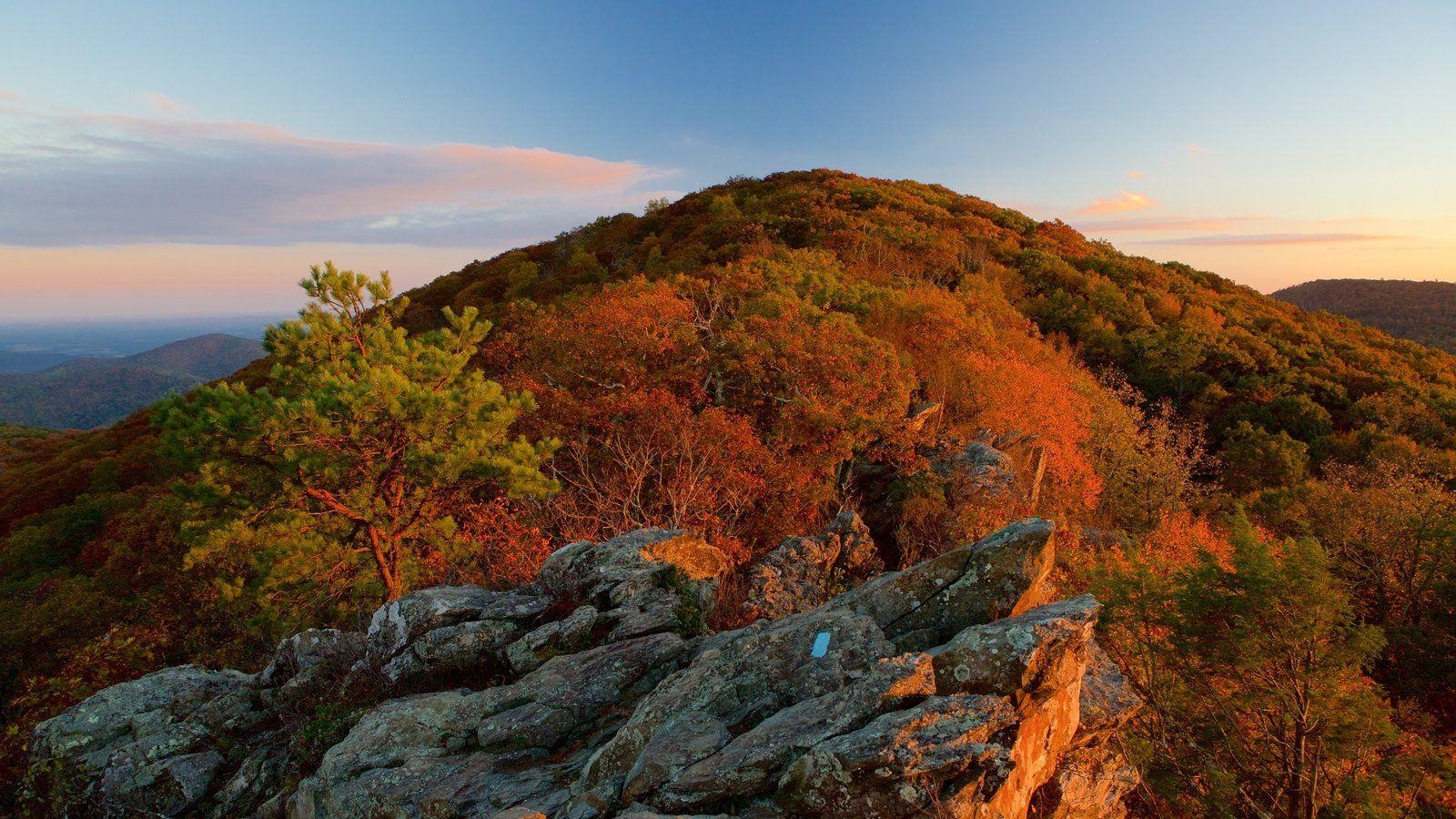 1600x900 Mountain Picture: View Image of Shenandoah National Park, Desktop