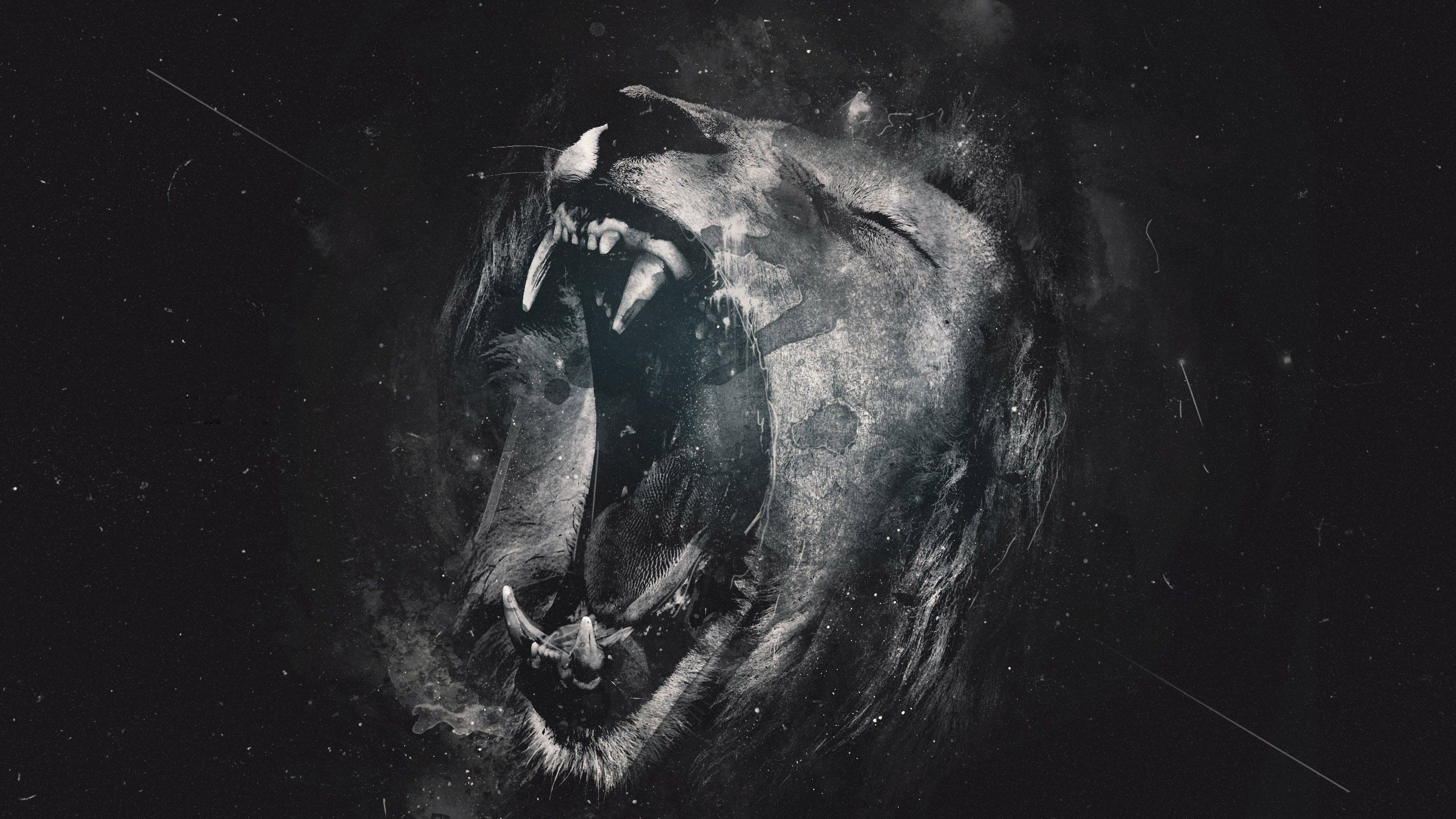 2560x1440 Lion Wallpaper Desktop, Desktop