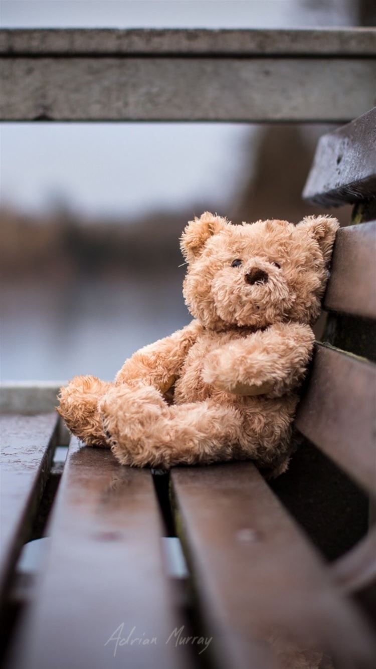 750x1340 Free download Lonely Bear Bench Gray iPhone 8 Wallpaper Free Download [] for your Desktop, Mobile & Tablet. Explore Teddy Bear Aesthetic Wallpaper. Teddy Bear Wallpaper, Cute Teddy Bear, Phone