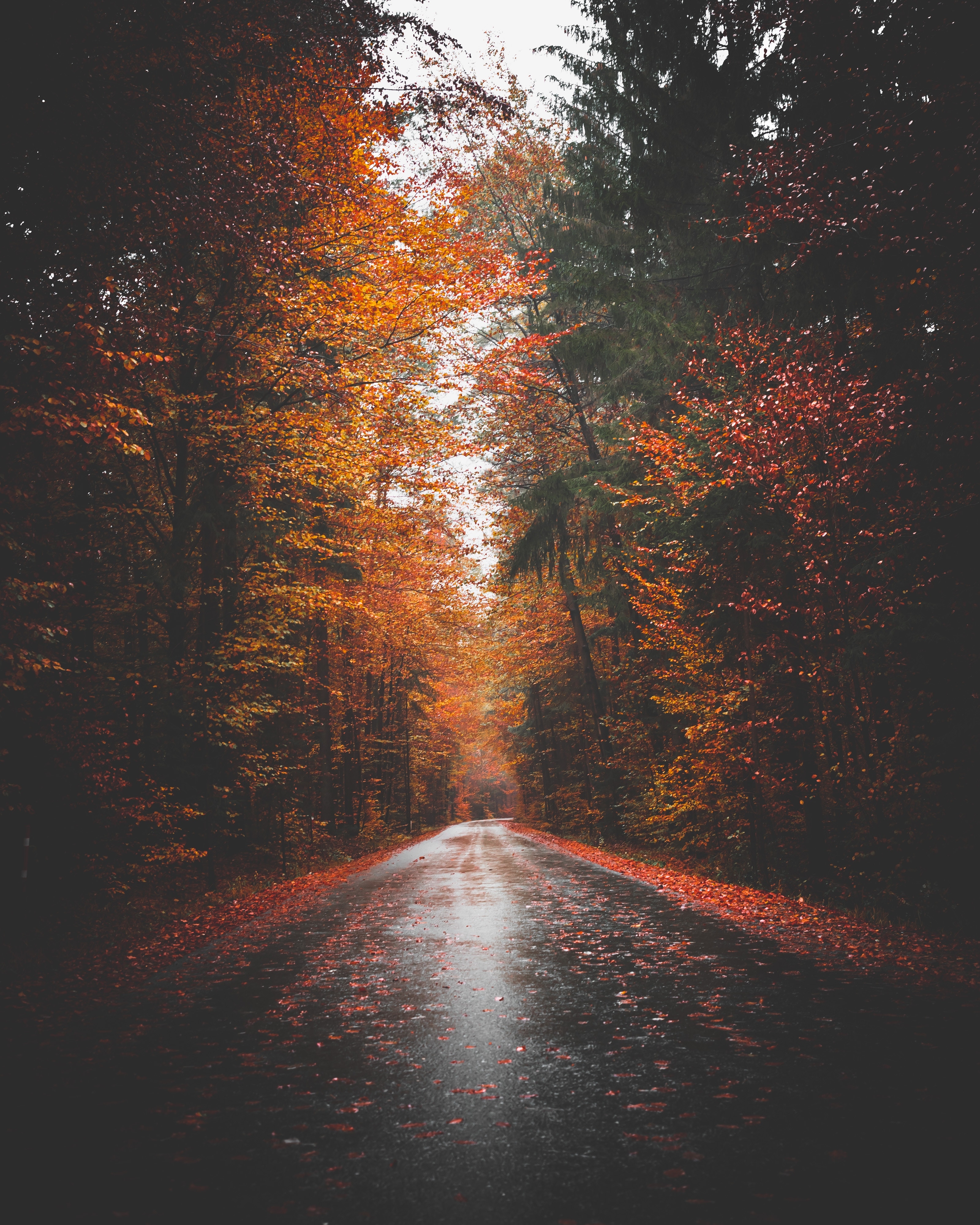 3200x4000 Download Autumn wallpaper for mobile phone, free Autumn HD picture, Phone