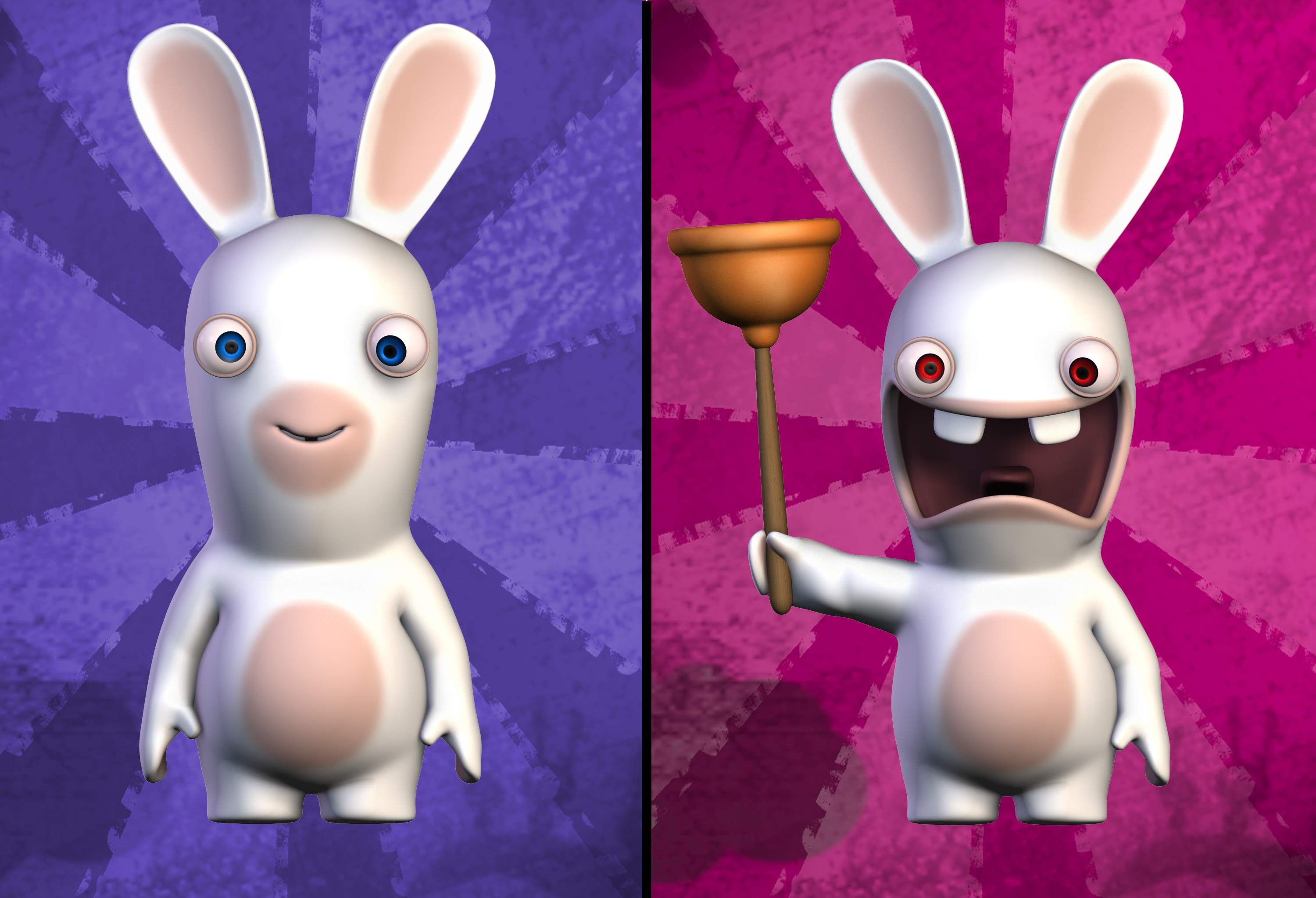 3000x2050 Rabbid, Desktop