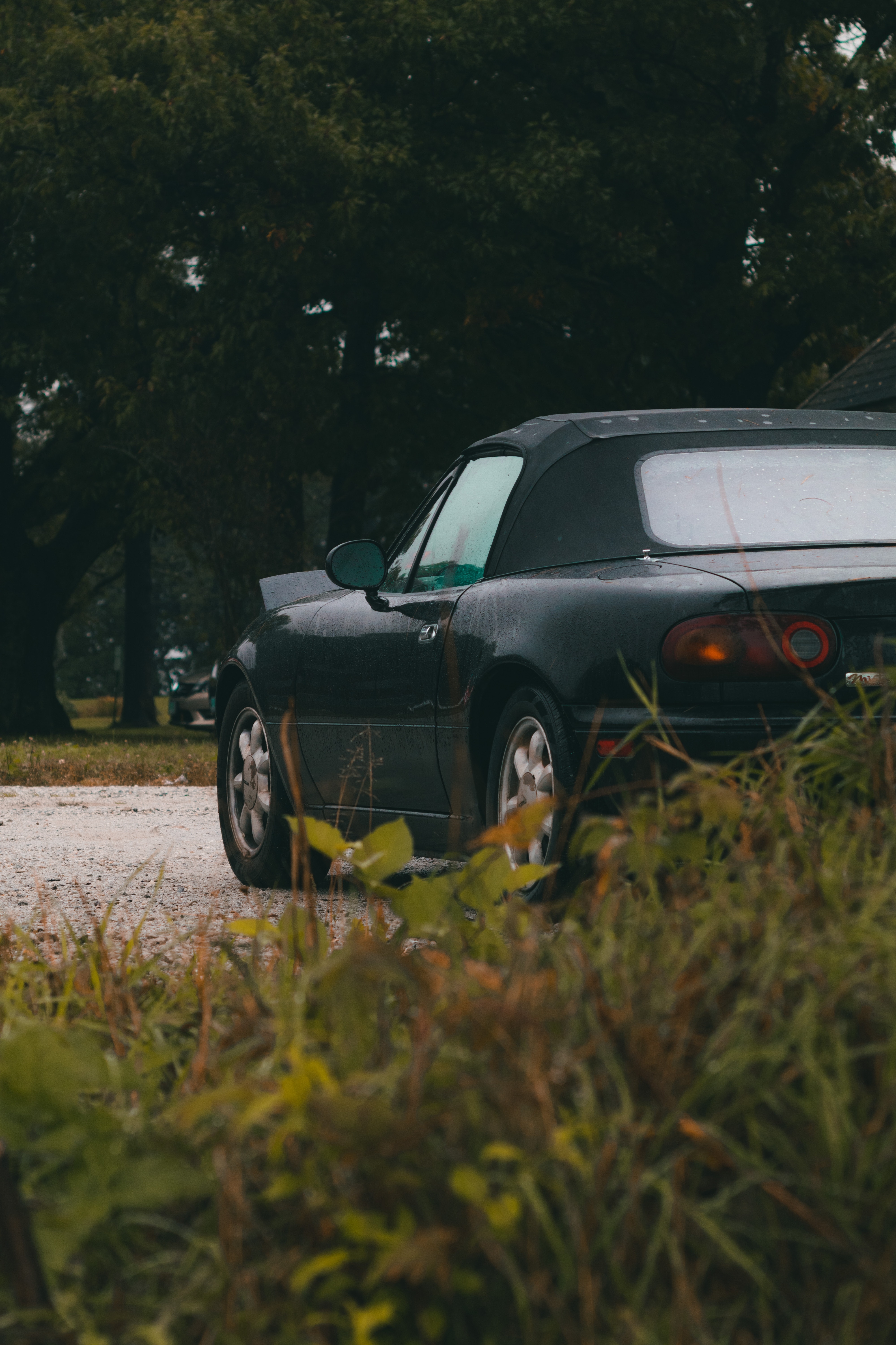 4000x6000 Jdm Car Meet Photo, Download The BEST Free Jdm Car Meet & HD Image, Phone