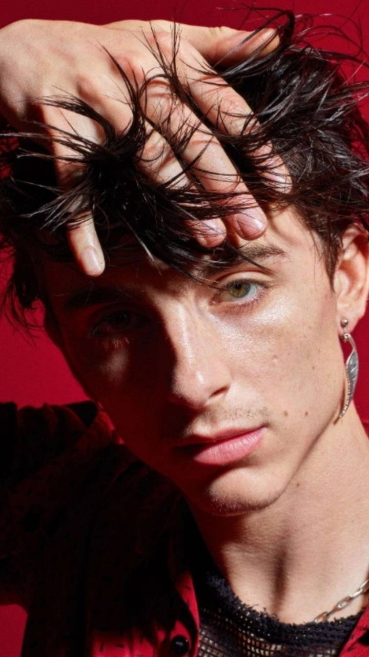 720x1280 Timothee Chalamet Wallpaper, Phone