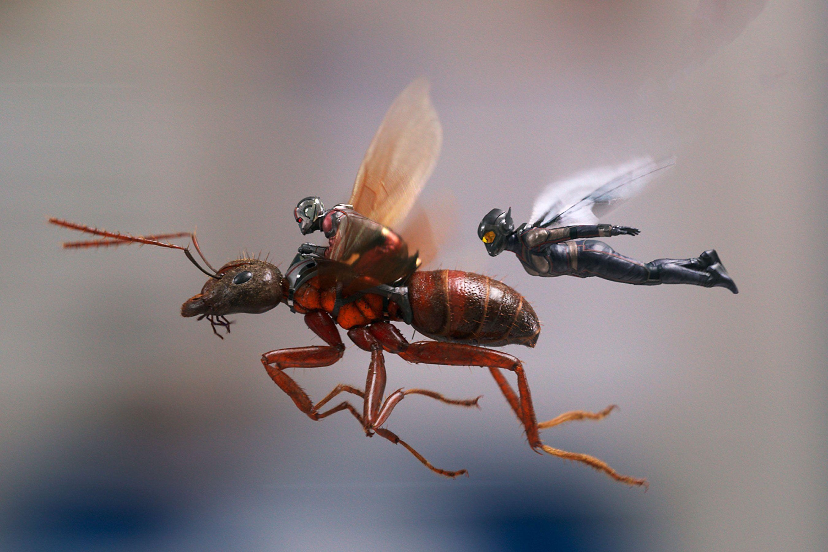 2700x1800 Ant Man And The Wasp, HD Movies, 4k Wallpaper, Image, Background, Desktop