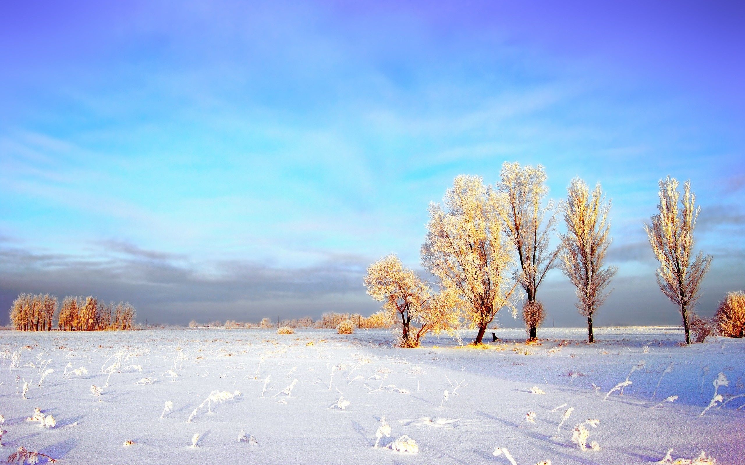 2560x1600 Free download Snowy Winter Landscape wallpaper Snowy Winter Landscape stock [] for your Desktop, Mobile & Tablet. Explore Snowy Landscapes Wallpaper. Winter Landscape Wallpaper, Free Snowy Landscape Wallpaper Widescreen, Desktop