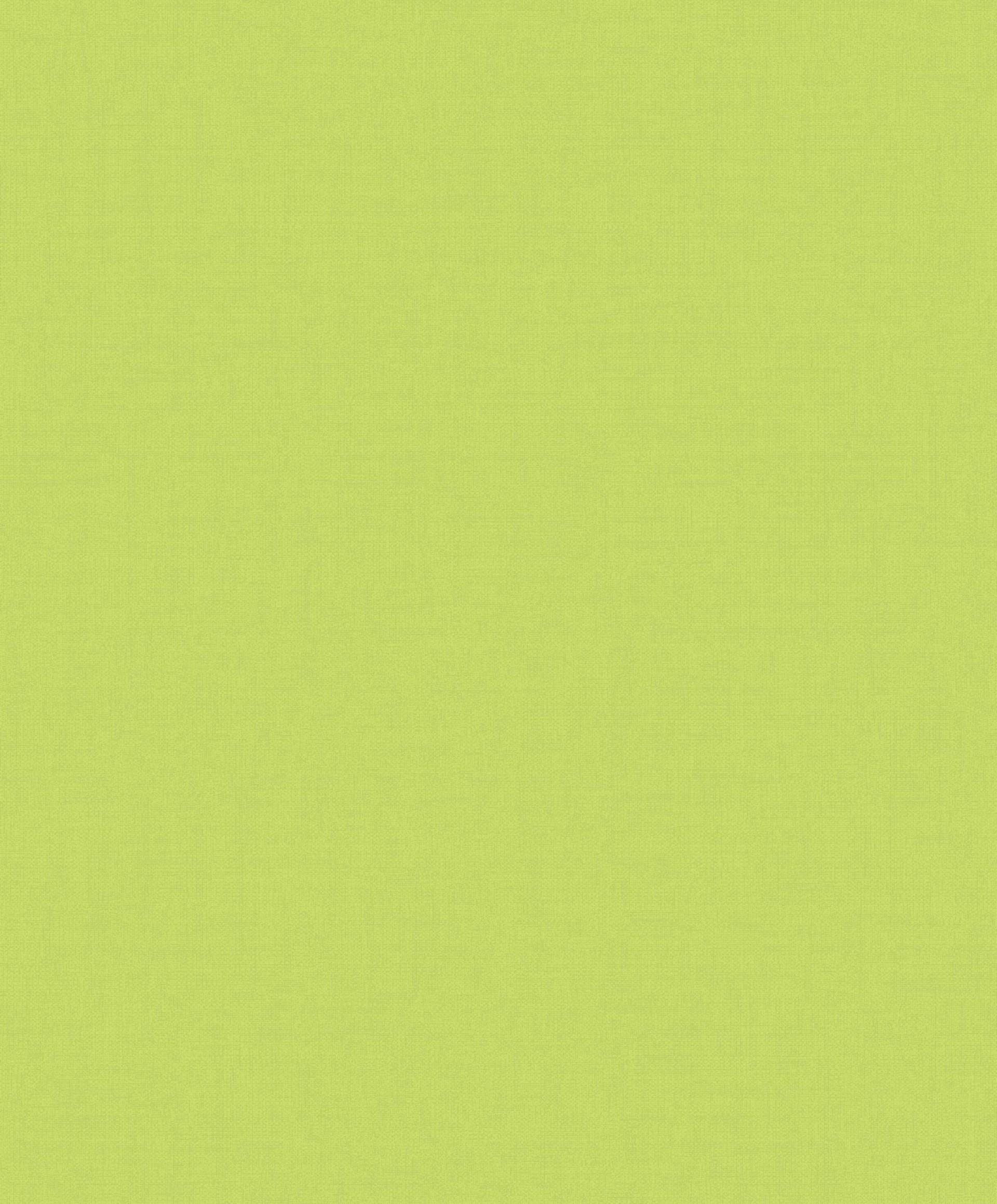 1920x2320 Solid Green Wallpaper, Phone