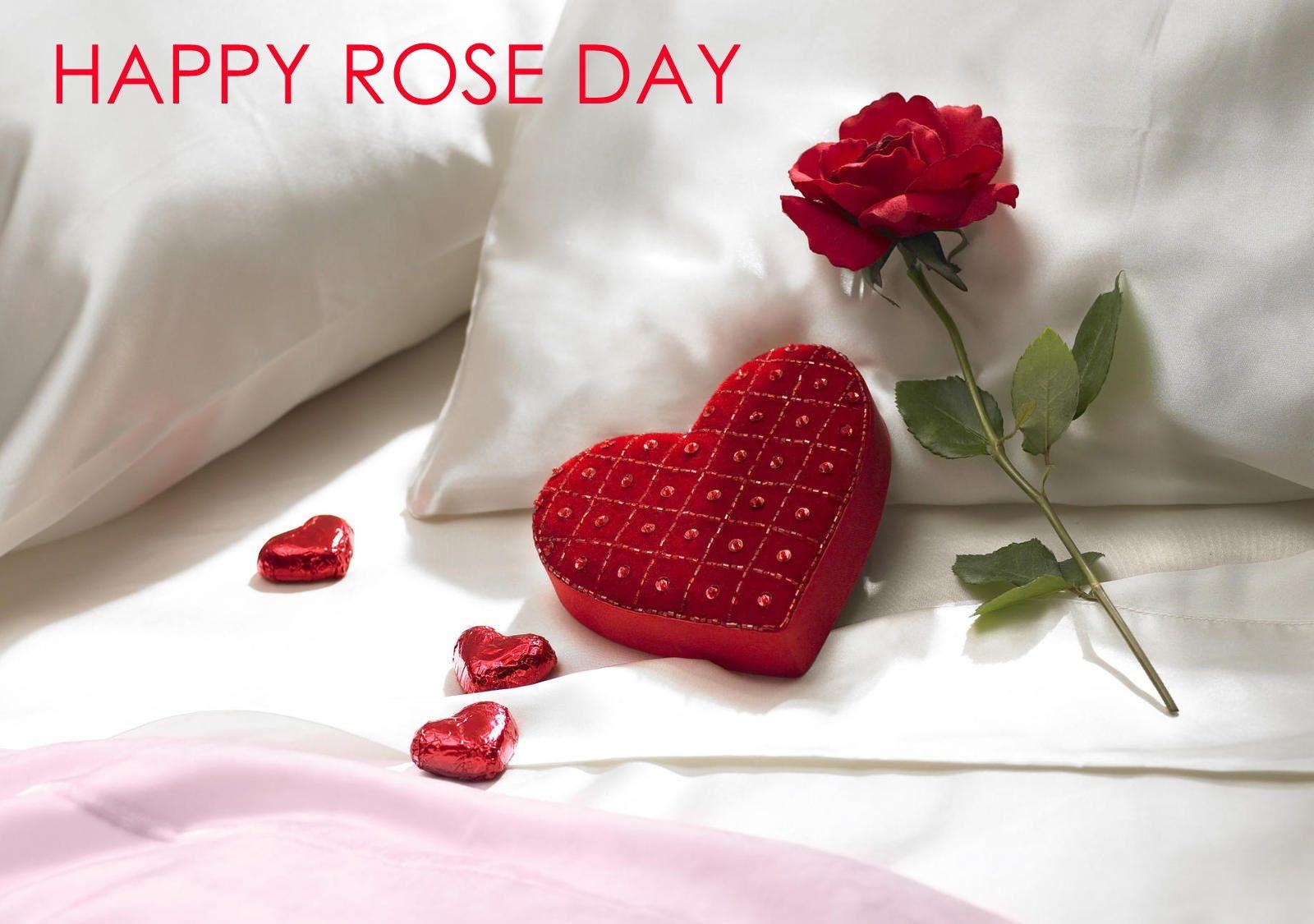 1600x1130 rose day pics hd, Desktop