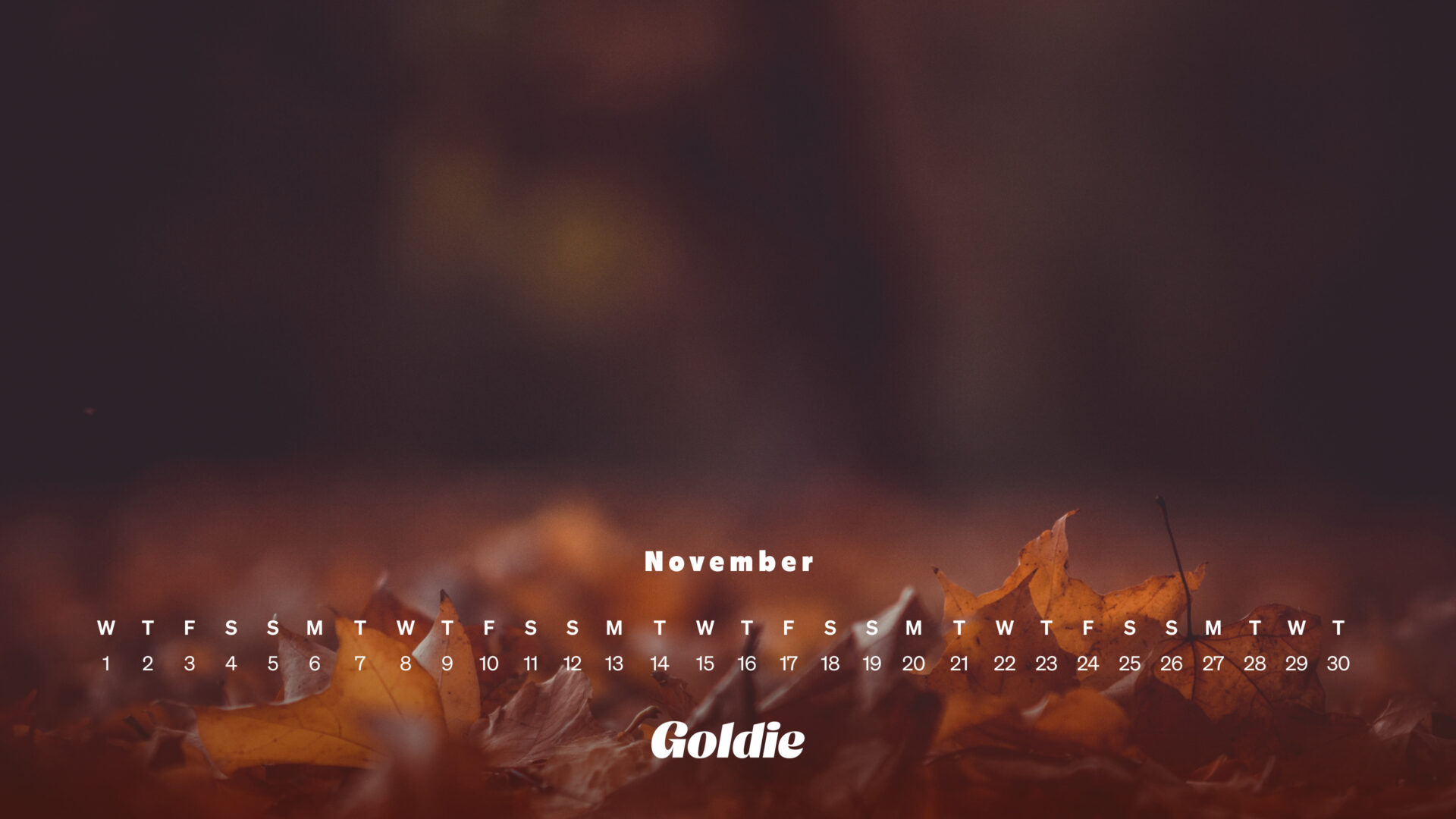 1920x1080 Free November 2023 Wallpaper Calendars, Desktop