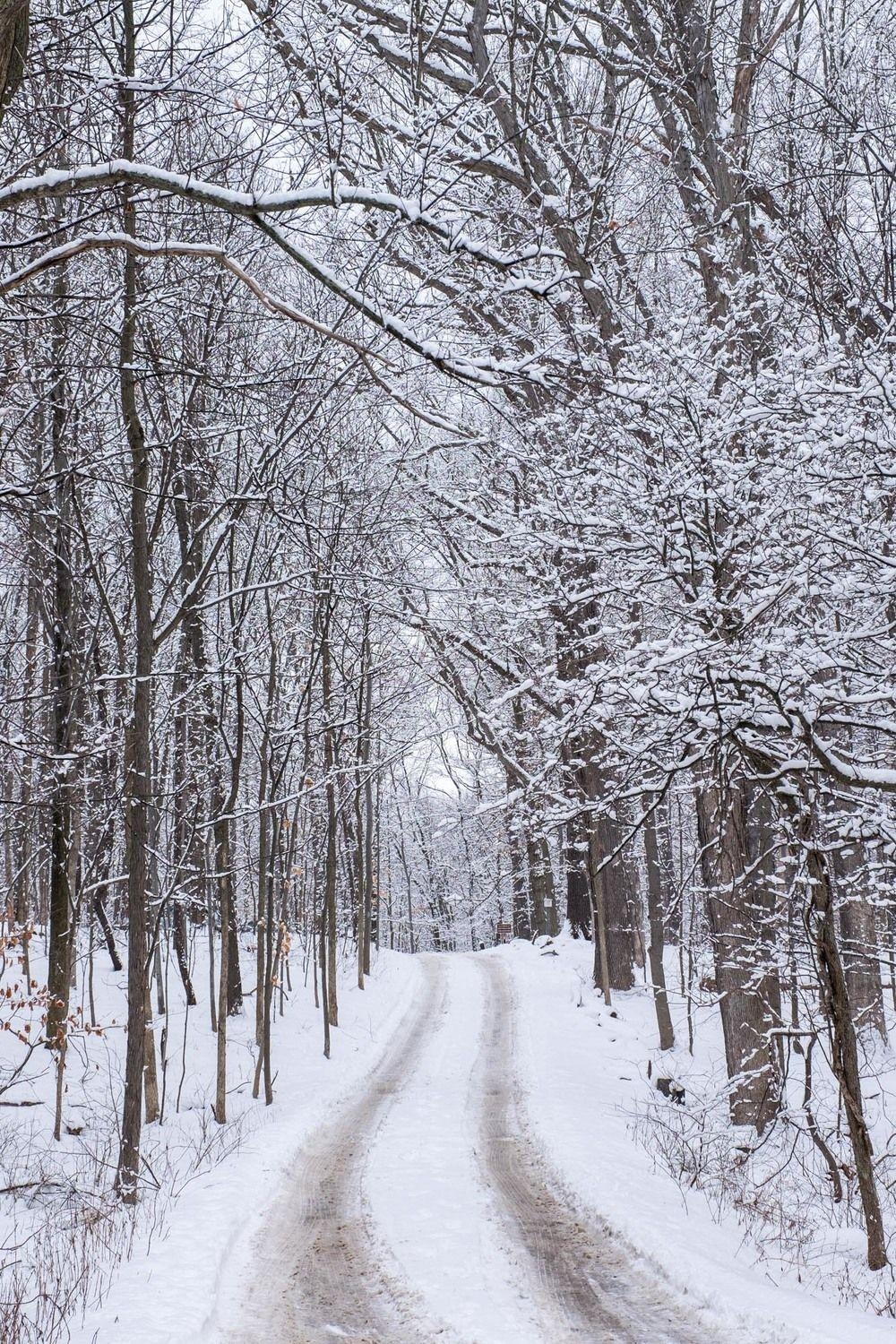 1000x1500 Cuyahoga Valley National Park, Phone