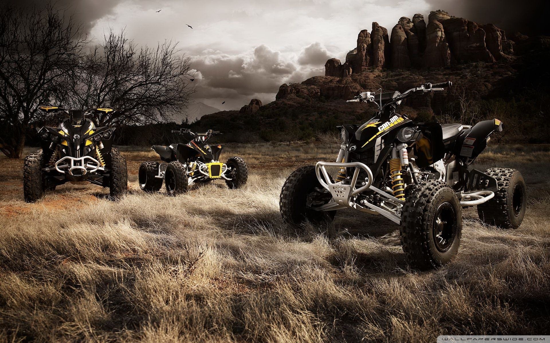 1920x1200 ATV Wallpaper, HD ATV Background on WallpaperBat, Desktop