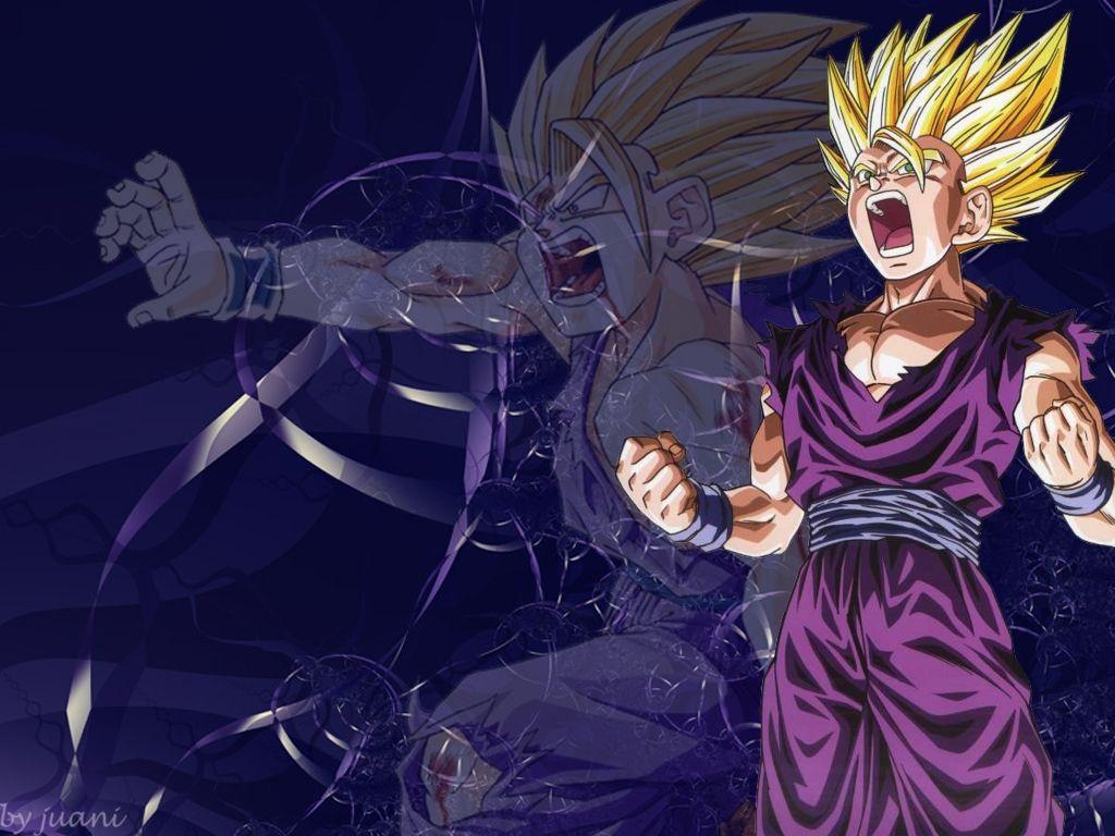 1030x770 Gohan HD Wallpaper, Background Image, Desktop