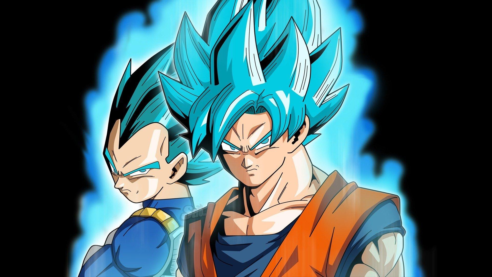 1920x1080 Goku and Vegeta HD Wallpaper, Desktop