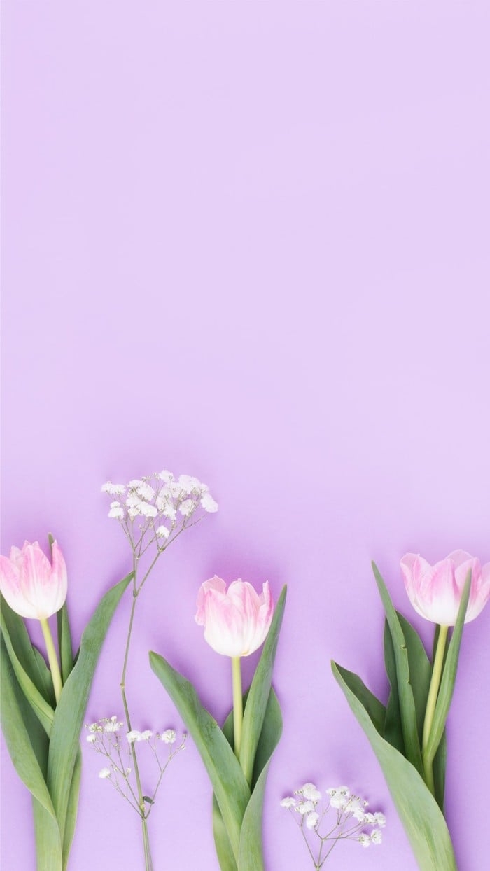 700x1250 Free Simple Bright Tulip Mobile Wallpaper, Phone