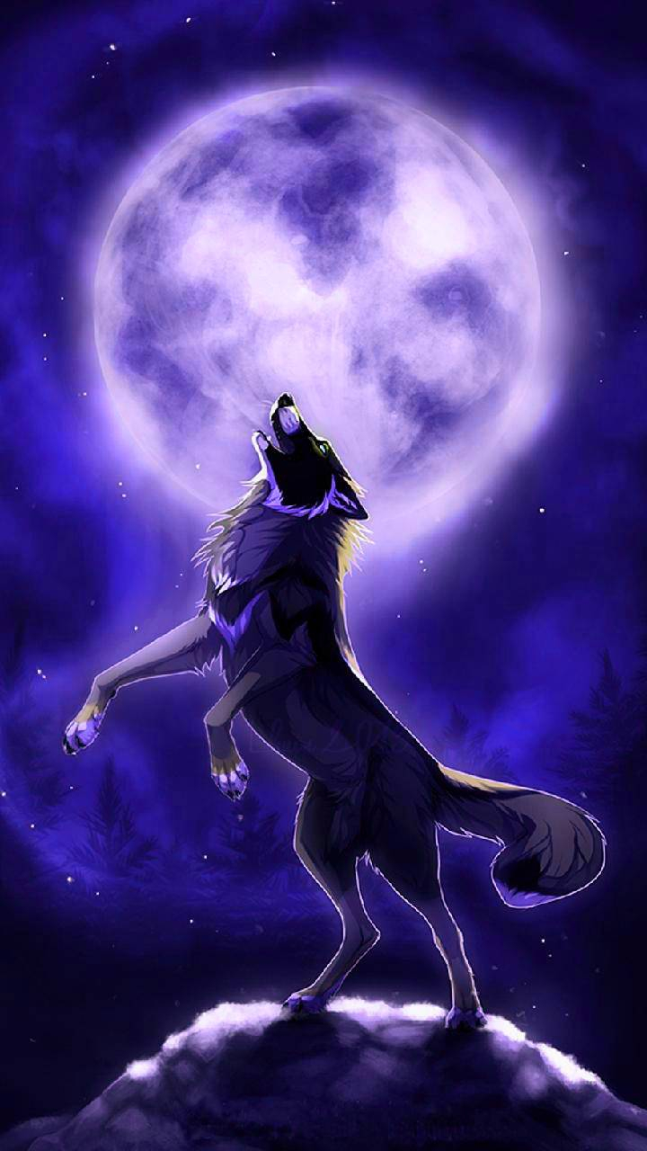 720x1280 Mystic Wolf wallpaper by. Wolf wallpaper, Wolf spirit animal, Mystical wolf, Phone