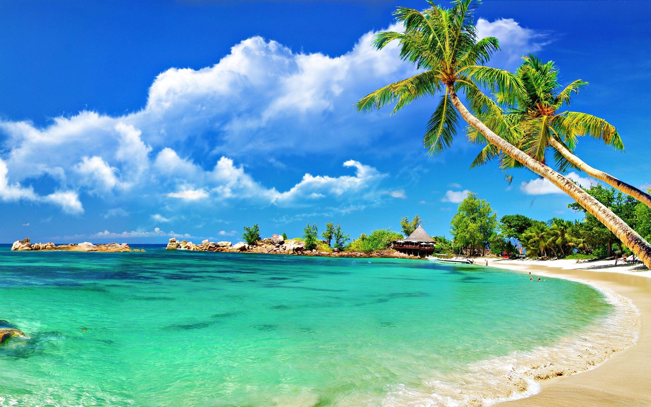 2560x1600 AMAZING BEACH WALLPAPERS FREE TO DOWNLOAD. Oceans&Beaches, Desktop