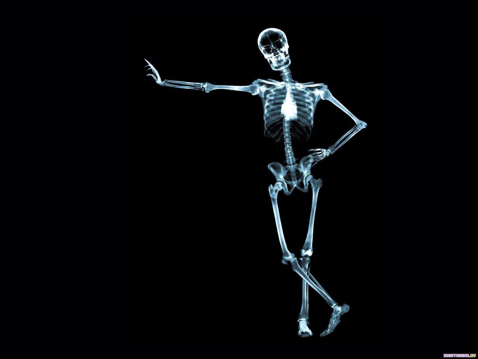 1600x1200 Widescreen Image: Anatomy Wallpaper, , V Anatomy HD Wallpaper, Desktop