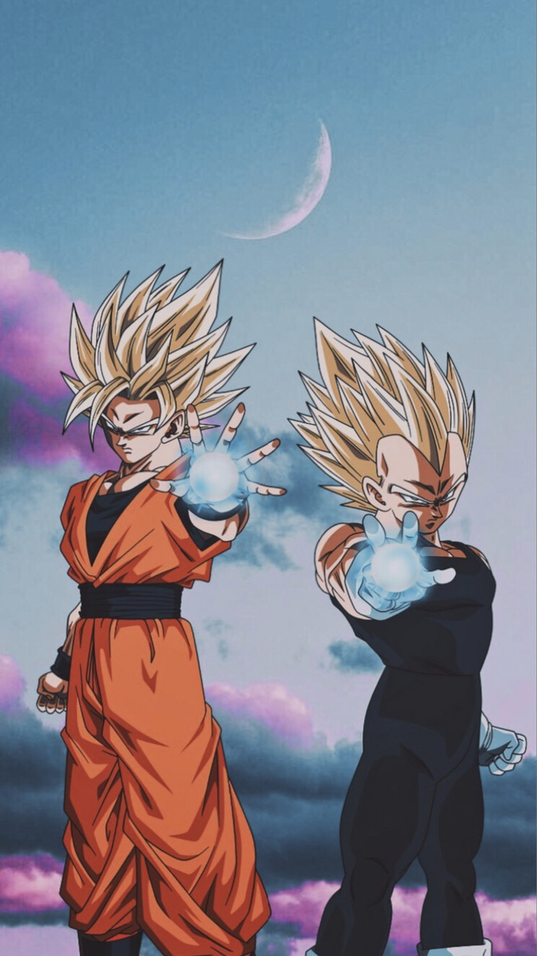 760x1350 Two Super Saiyan 2s! LR SSJ2 Goku and SSJ2 Vegeta!, Phone