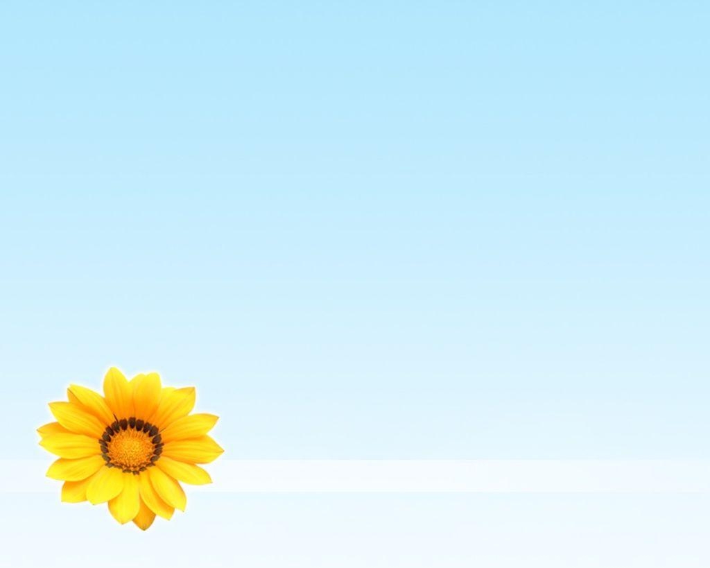 1030x820 Summer flower desktop PC and Mac wallpaper, Desktop