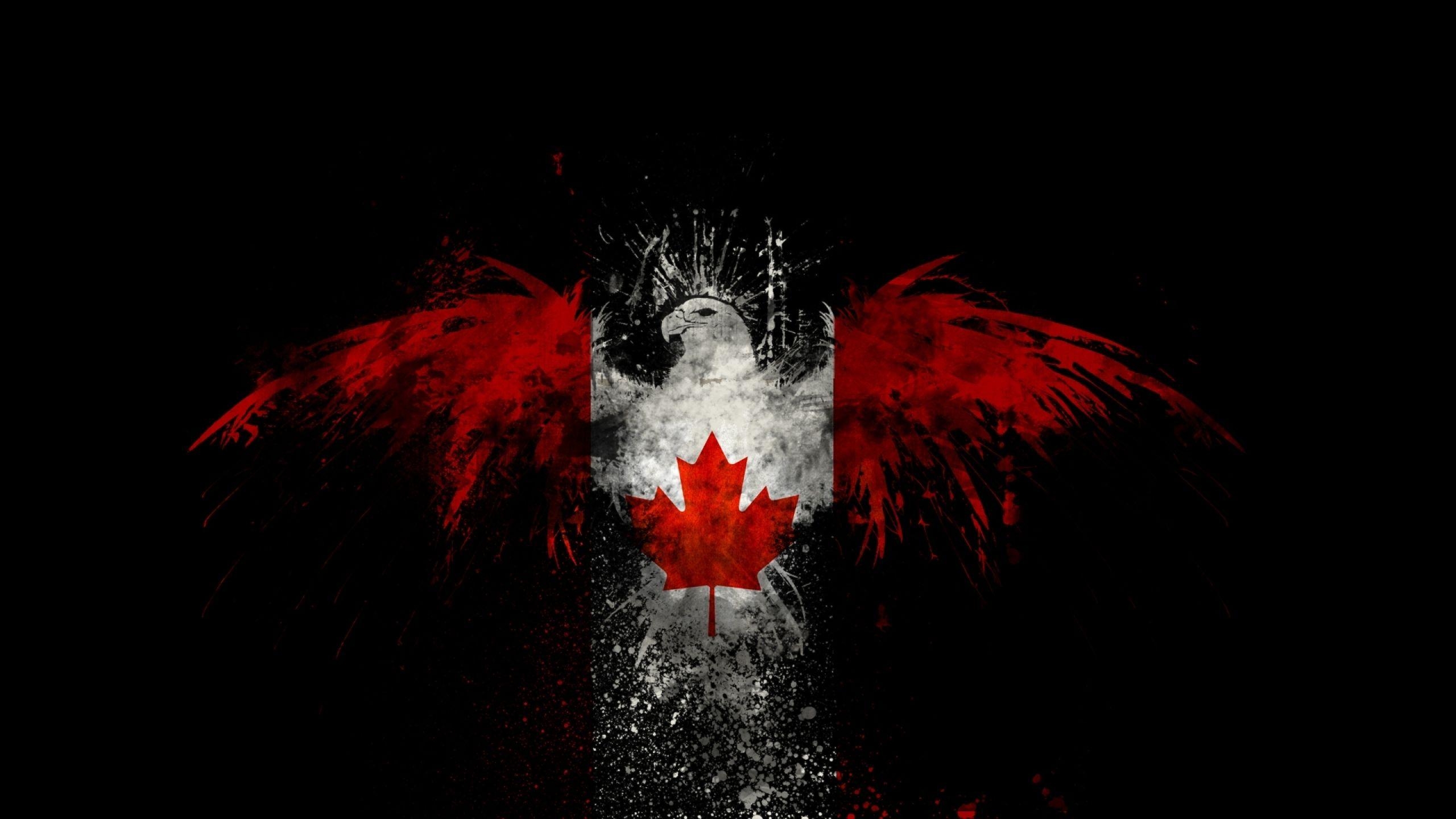 2560x1440 Download Wallpaper, Download  birds canada canadian flag, Desktop