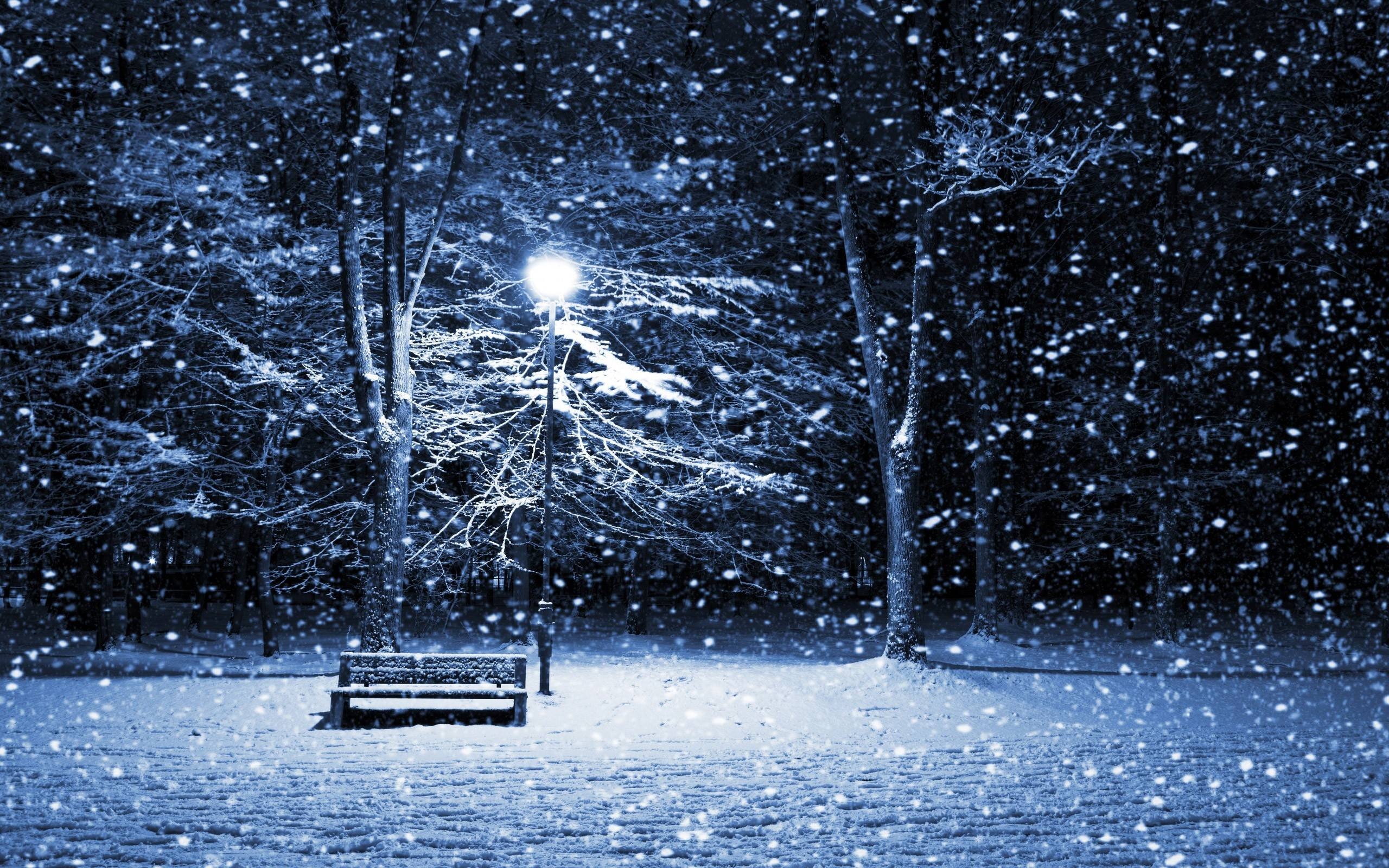 2560x1600 Falling Snow Wallpaper 6350 px, Desktop