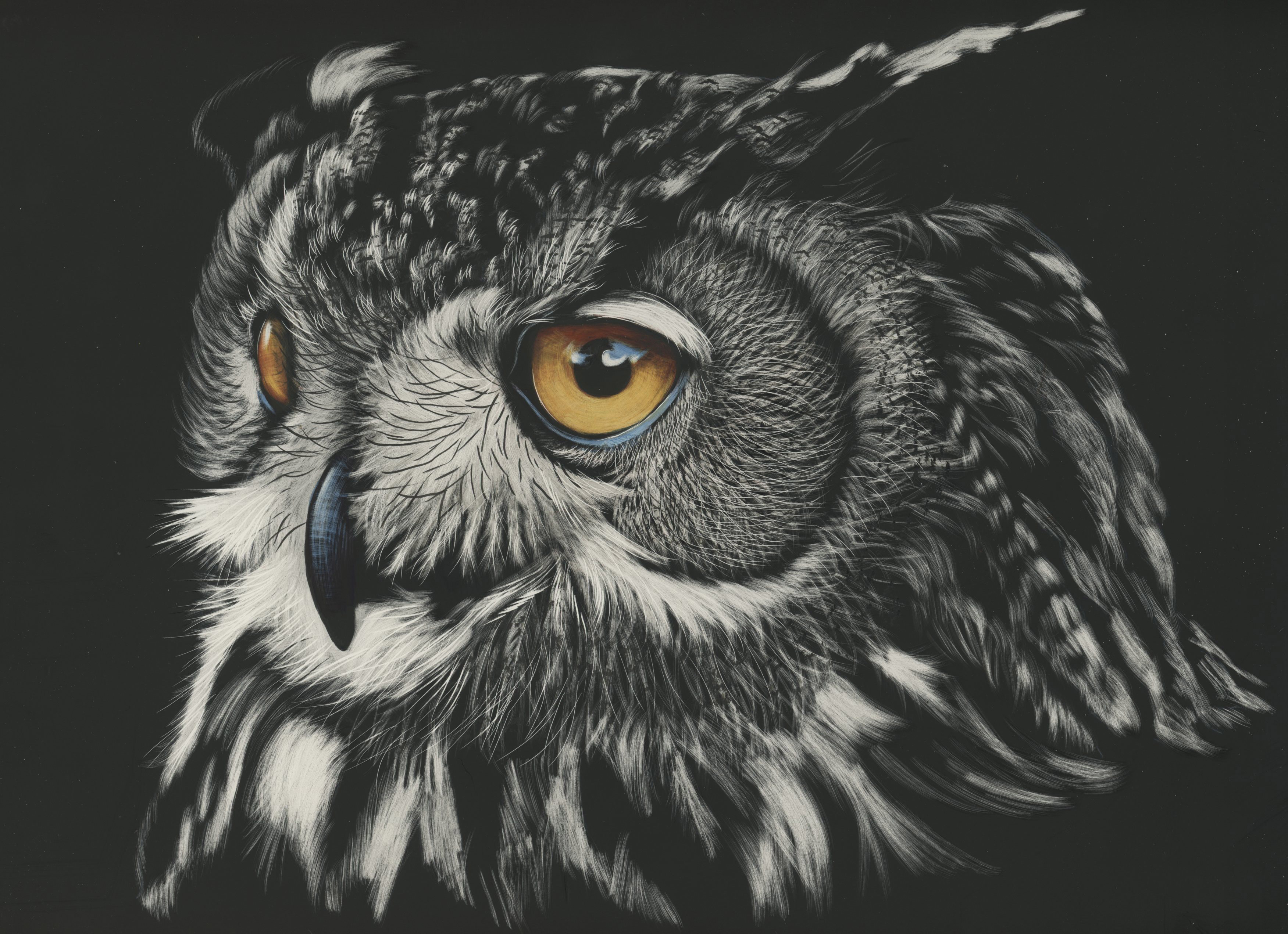 3510x2550 Owl Painting 4k, HD Animals, 4k Wallpaper, Image, Background, Photo and Picture, Desktop