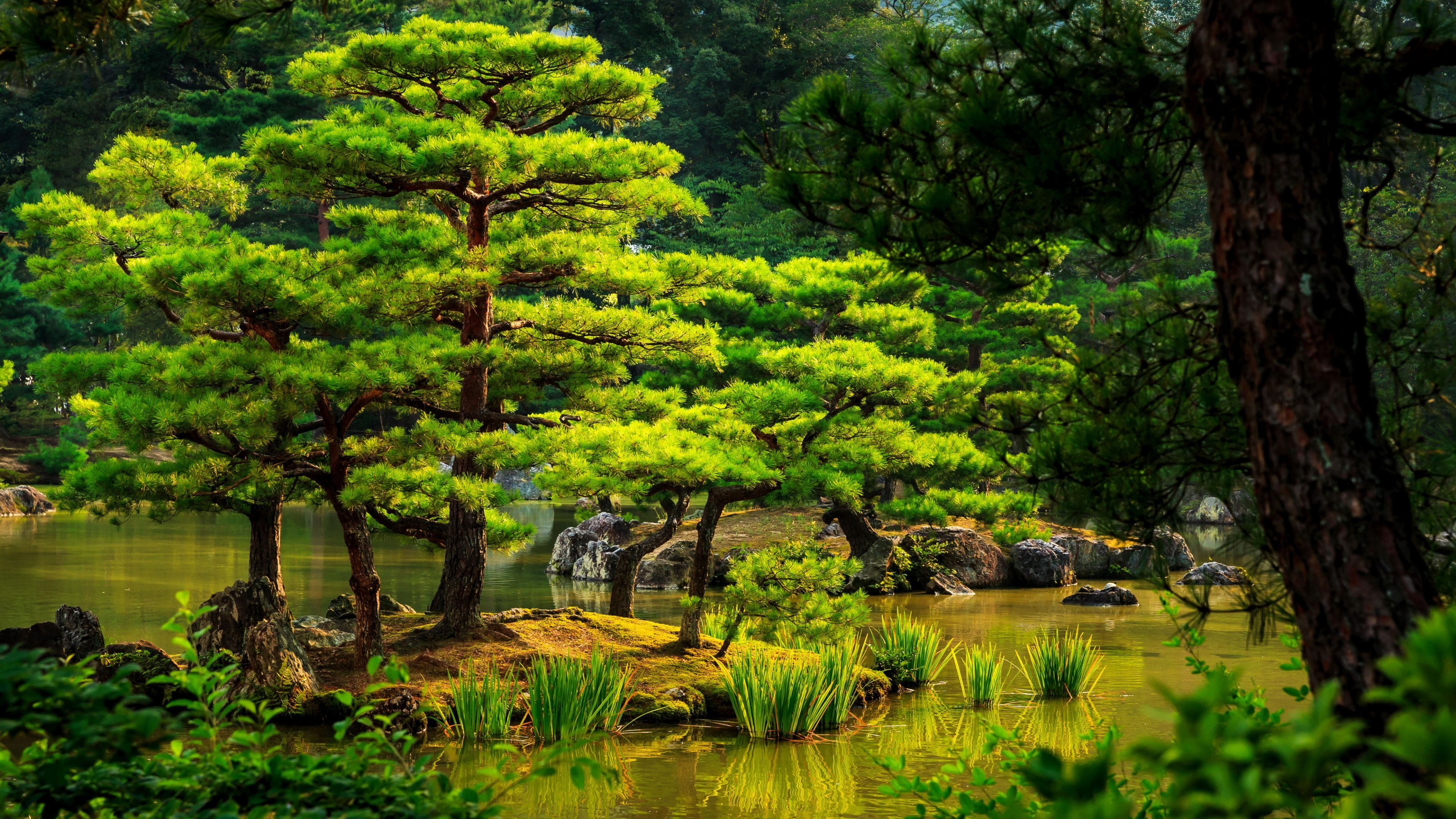 3840x2160 Water, Nature Reserve, Botanical Garden, Japanese Garden, Wallpaper Base Japan, Desktop