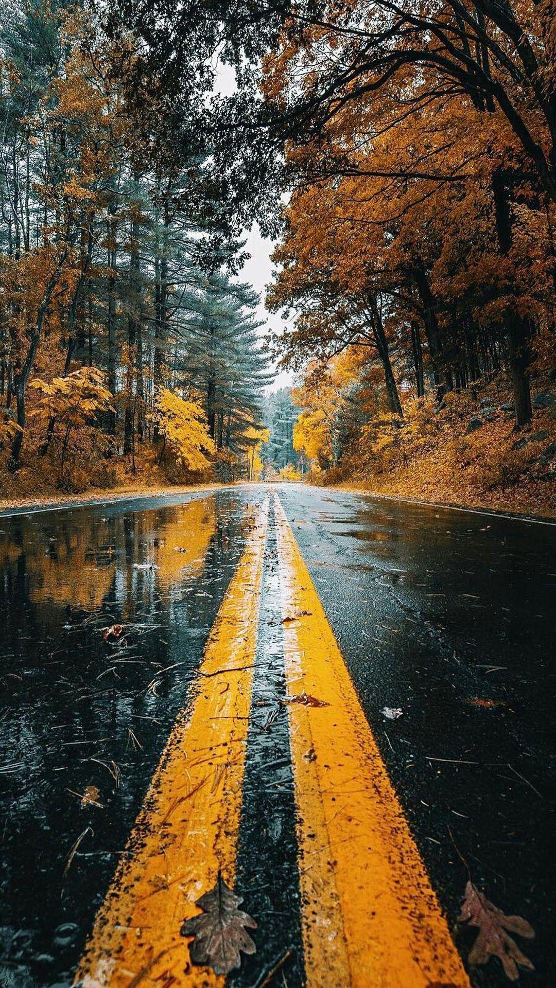 1080x1920 Rainy Fall Wallpaper, Phone