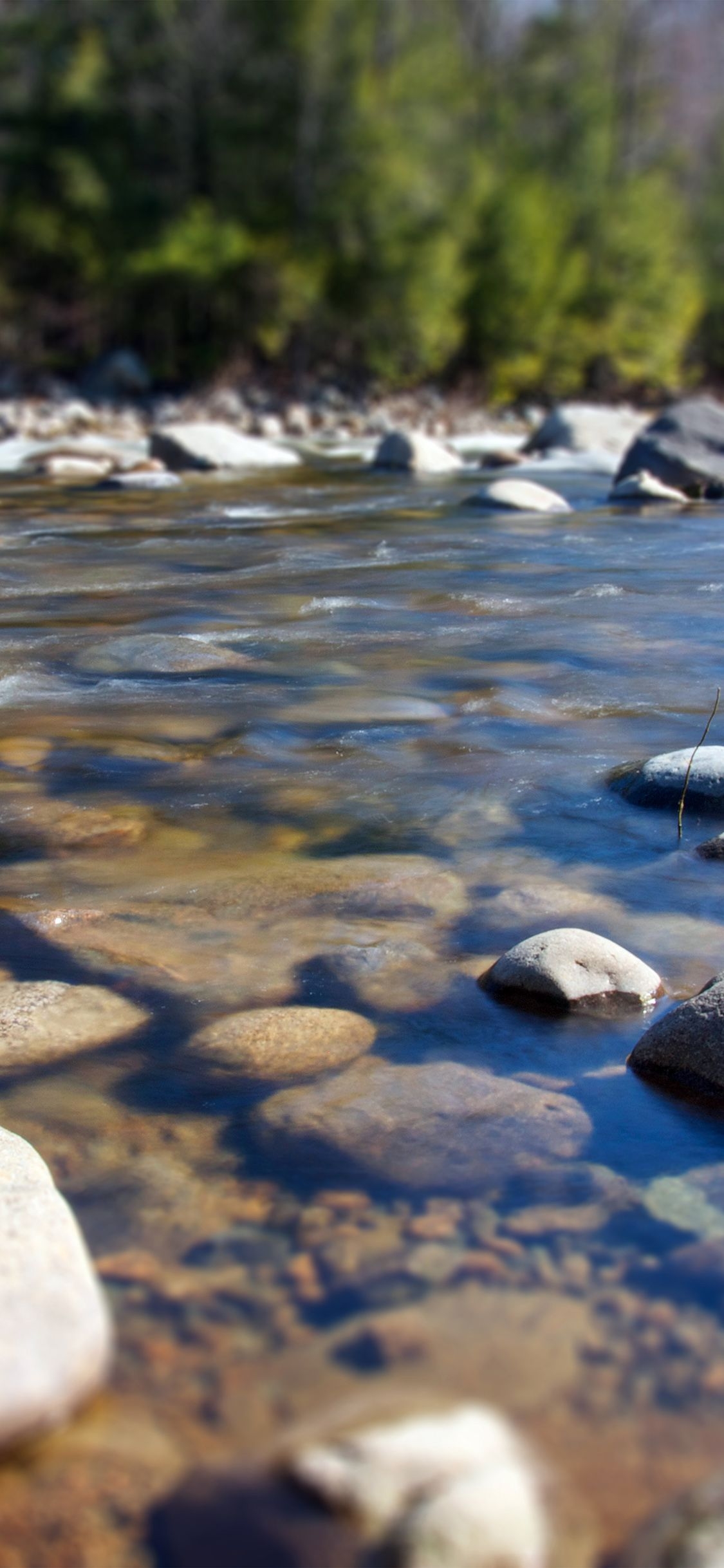 1130x2440 Summer Rocks River Lake Nature, Phone