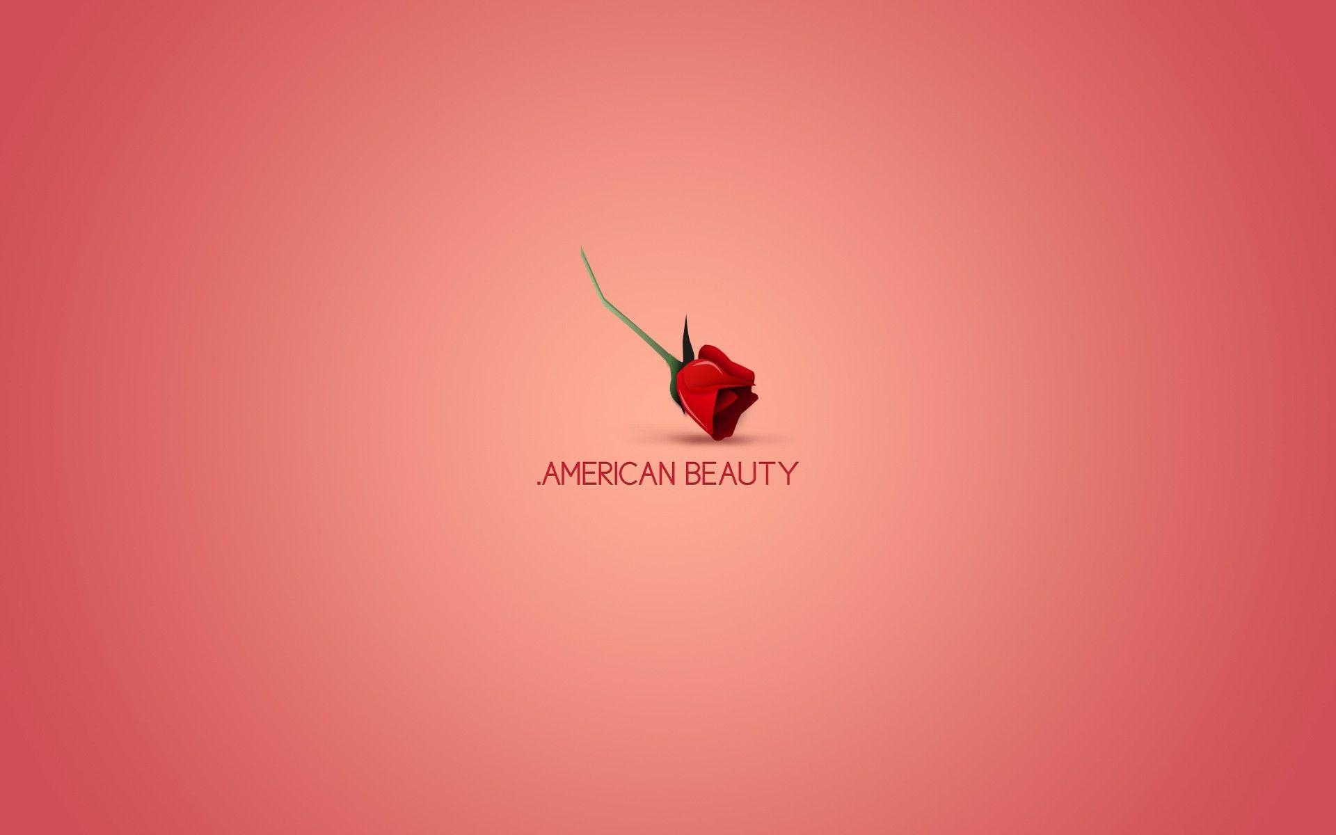 1920x1200 minimalistic, movies, American Beauty wallpaper, Desktop