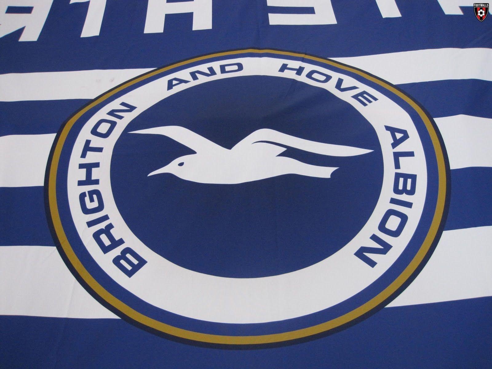 1600x1200 Brighton And Hove Albion Wallpaper, Desktop