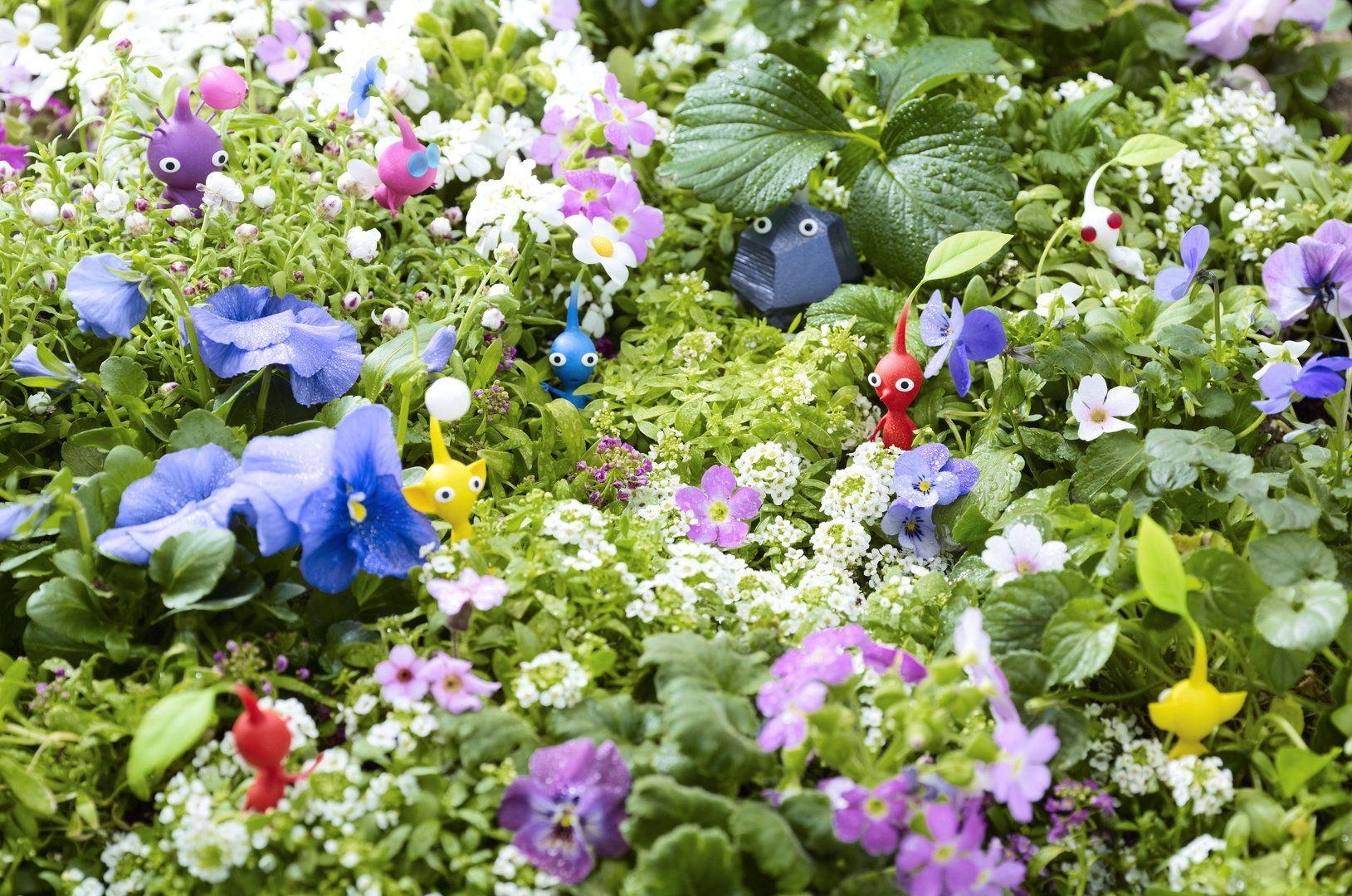 1630x1080 Pikmin 3, Desktop