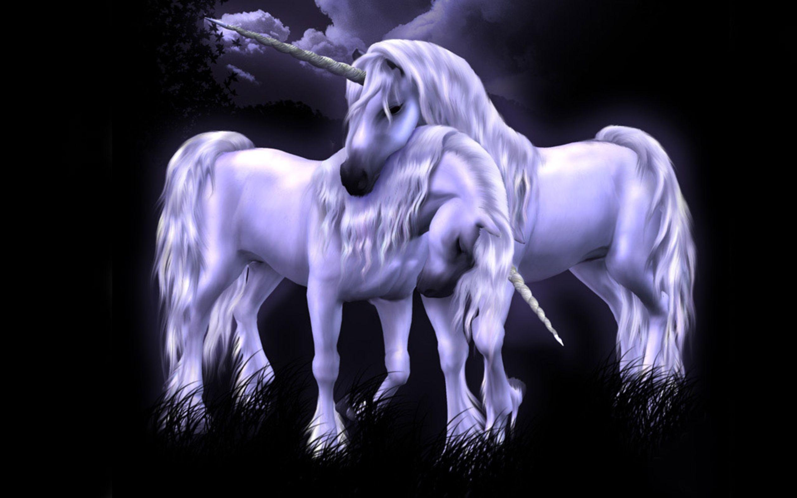 2560x1600 unicorn Wallpaper Background, Desktop