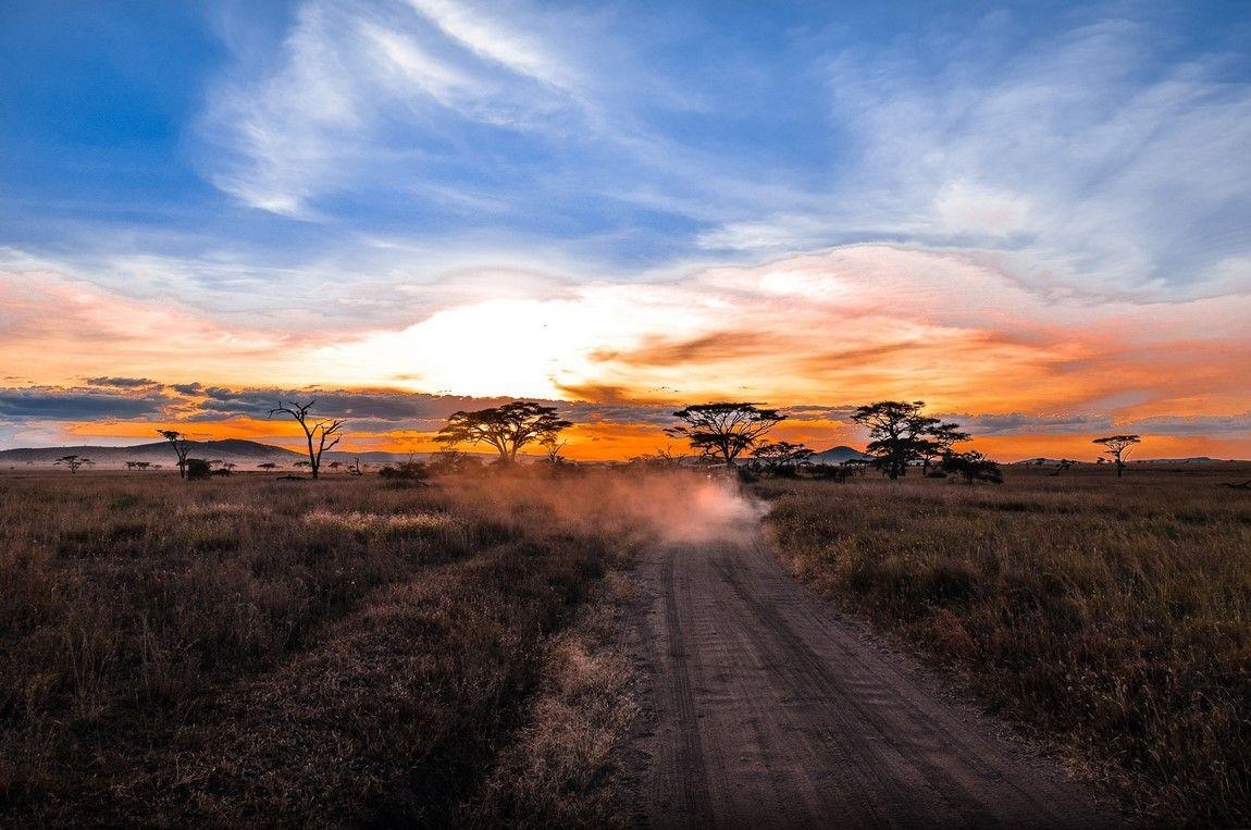 1150x770 Serengeti National Park in Tanzania. Top quality wallpaper, Desktop