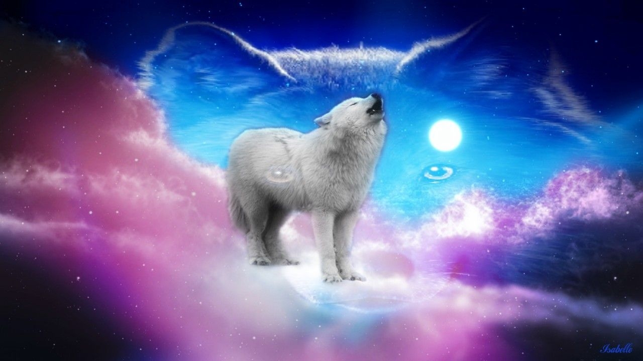 1280x720 Cute Wolf Wallpaper, Desktop