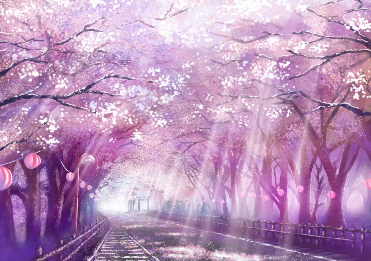 1500x1060 Cherry Blossoms Anime Scenery Wallpaper Free Cherry Blossoms Anime Scenery Background, Desktop