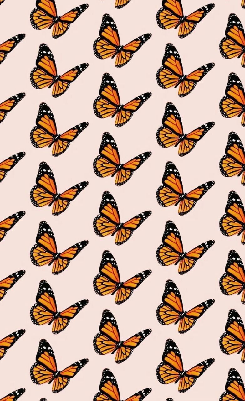 790x1280 Butterfly iPhone Wallpaper Tumblr, Phone