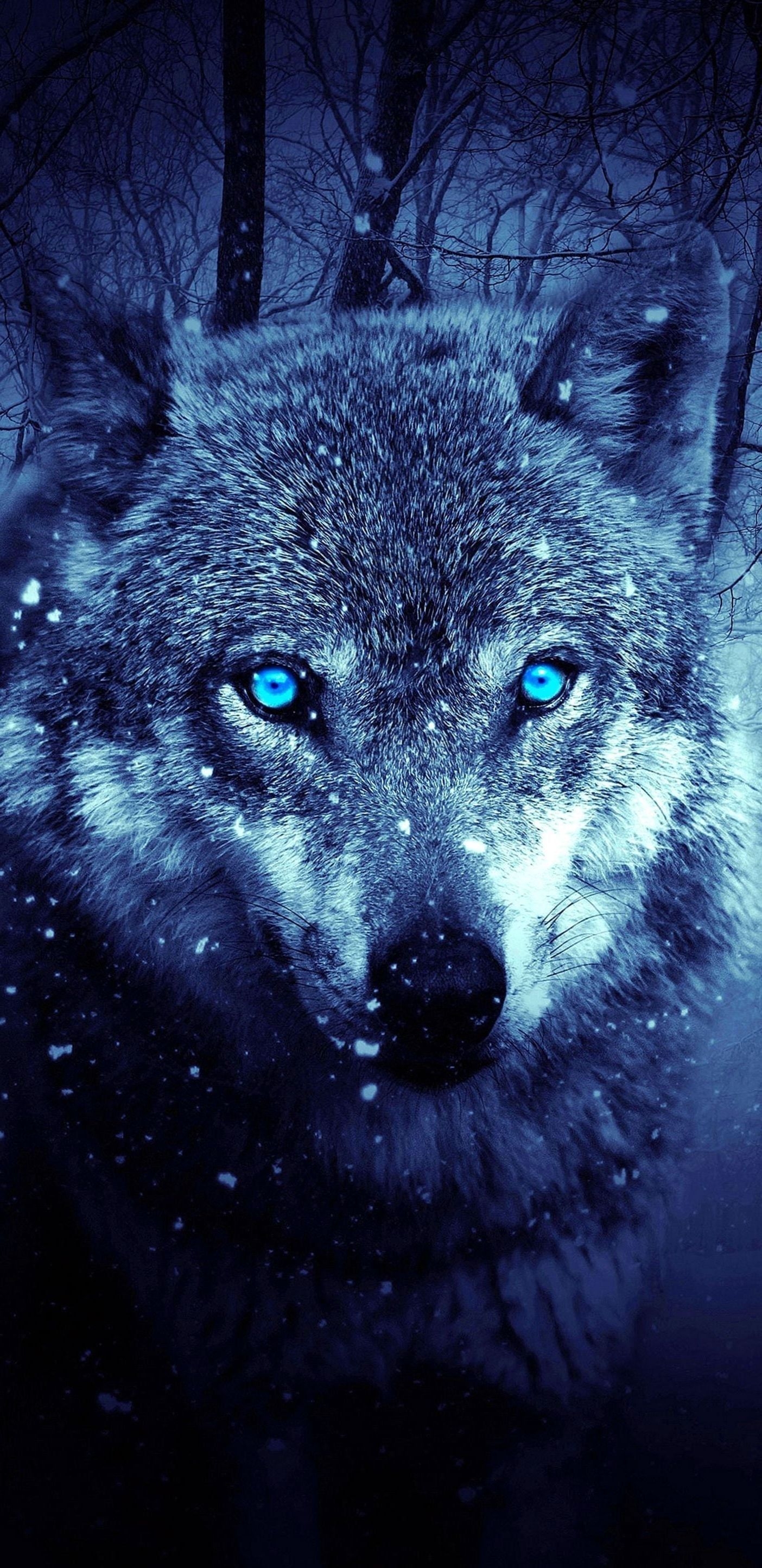 1410x2890 Wolf Wallpaper For Galaxy S8 Wallpaper.Pro, Phone