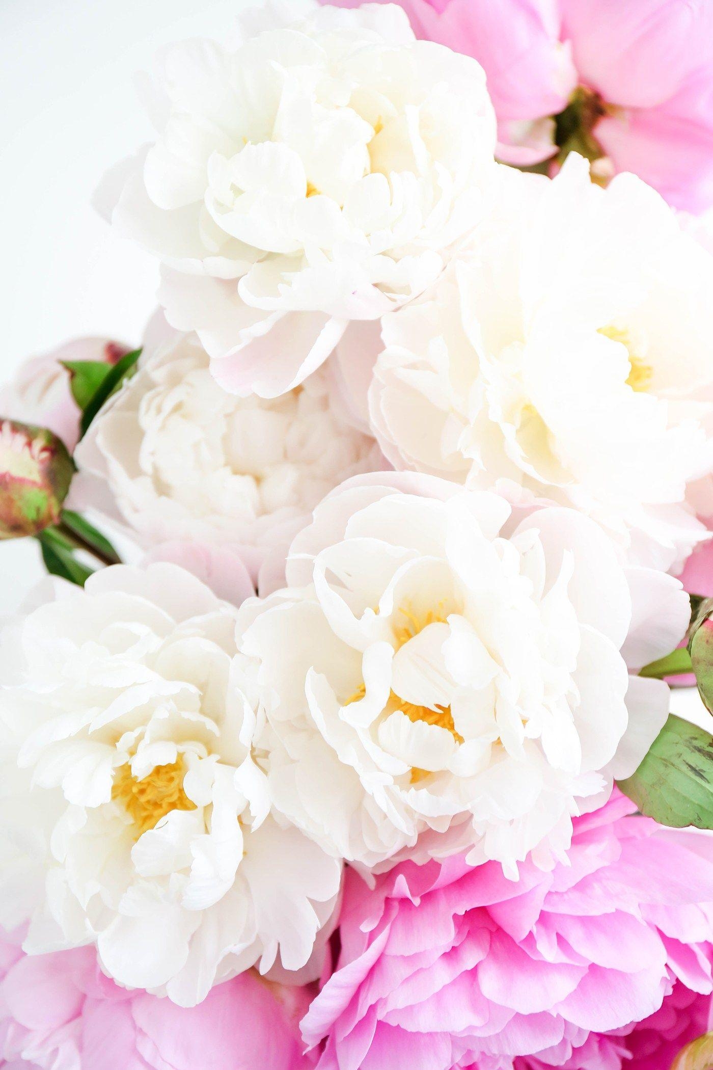 1400x2100 ProperPrintables \ Colorful Peonies Wallpaper Download, Phone