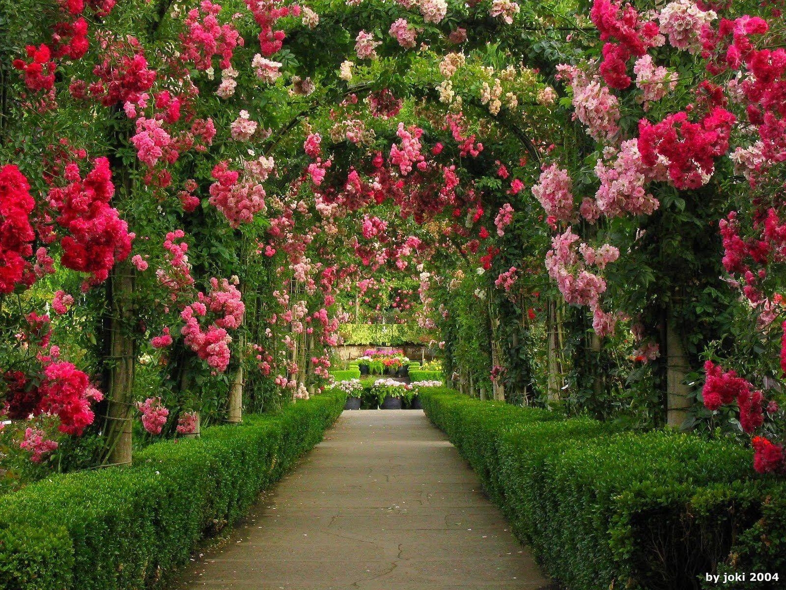 1600x1200 Arches in Rose Garden Wallpaper and Background Imagex1200, Desktop