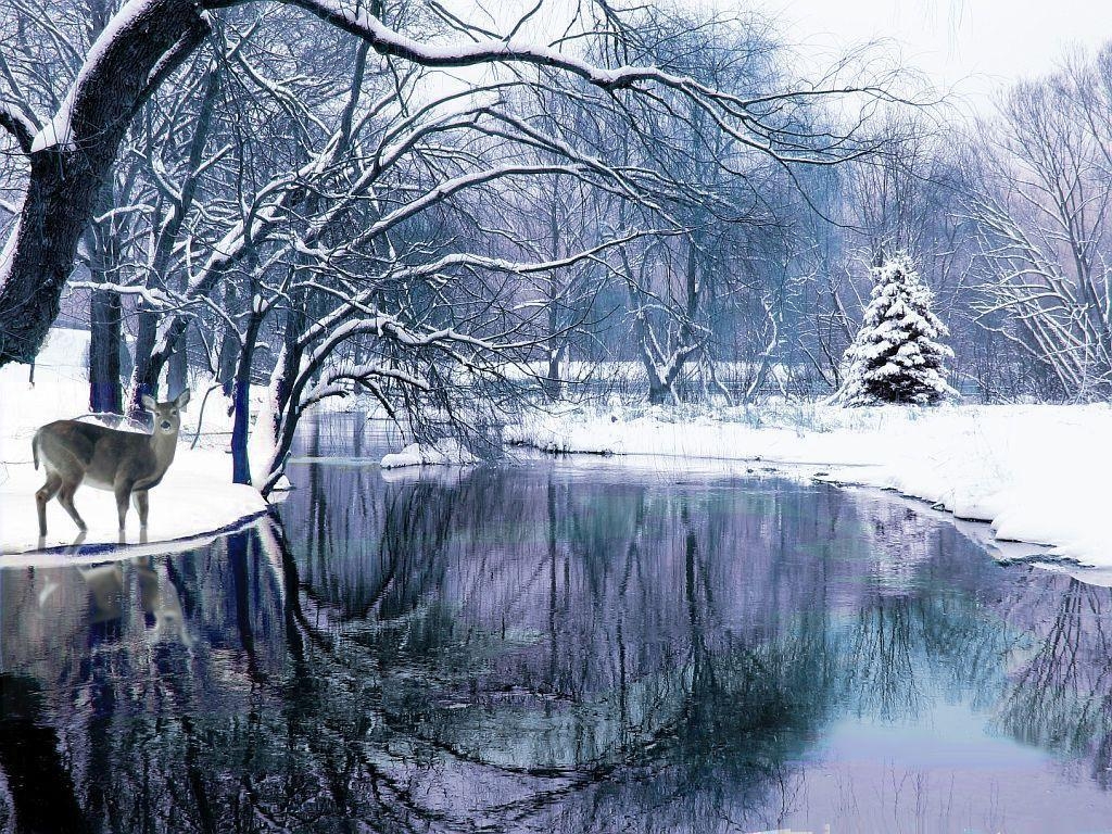 1030x770 Winter Scenes Wallpaper 12 Background. Wallruru, Desktop