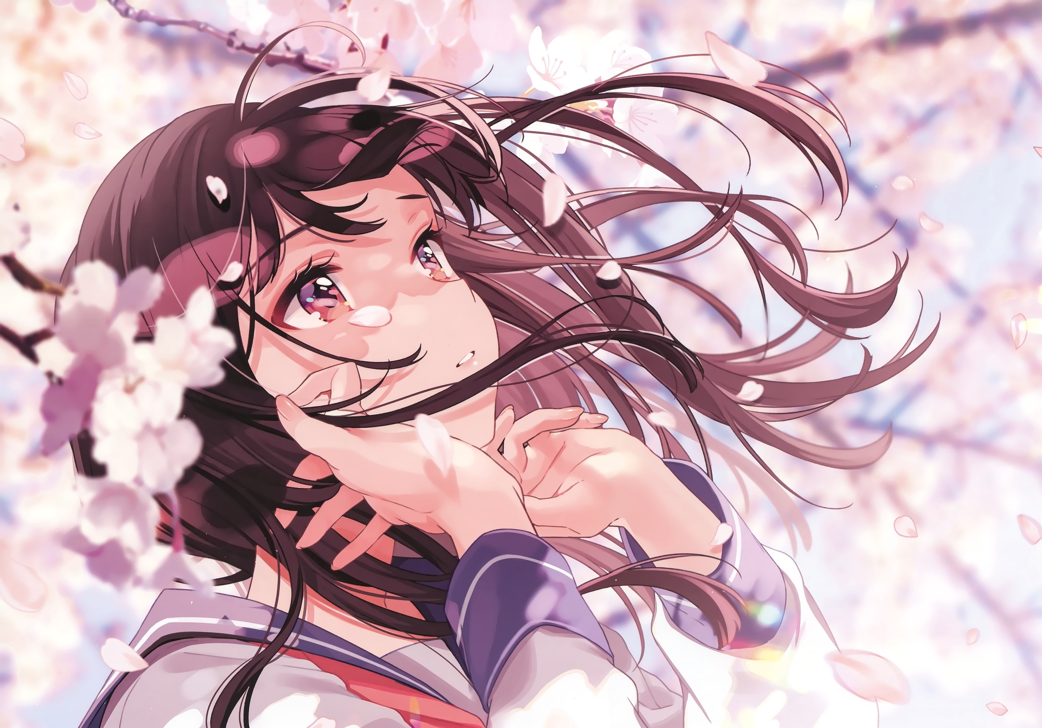 3500x2450 Wallpaper Brown Hair, Sakura Blossom, Beautiful Anime Girl, School Uniform, Profile View:, Desktop