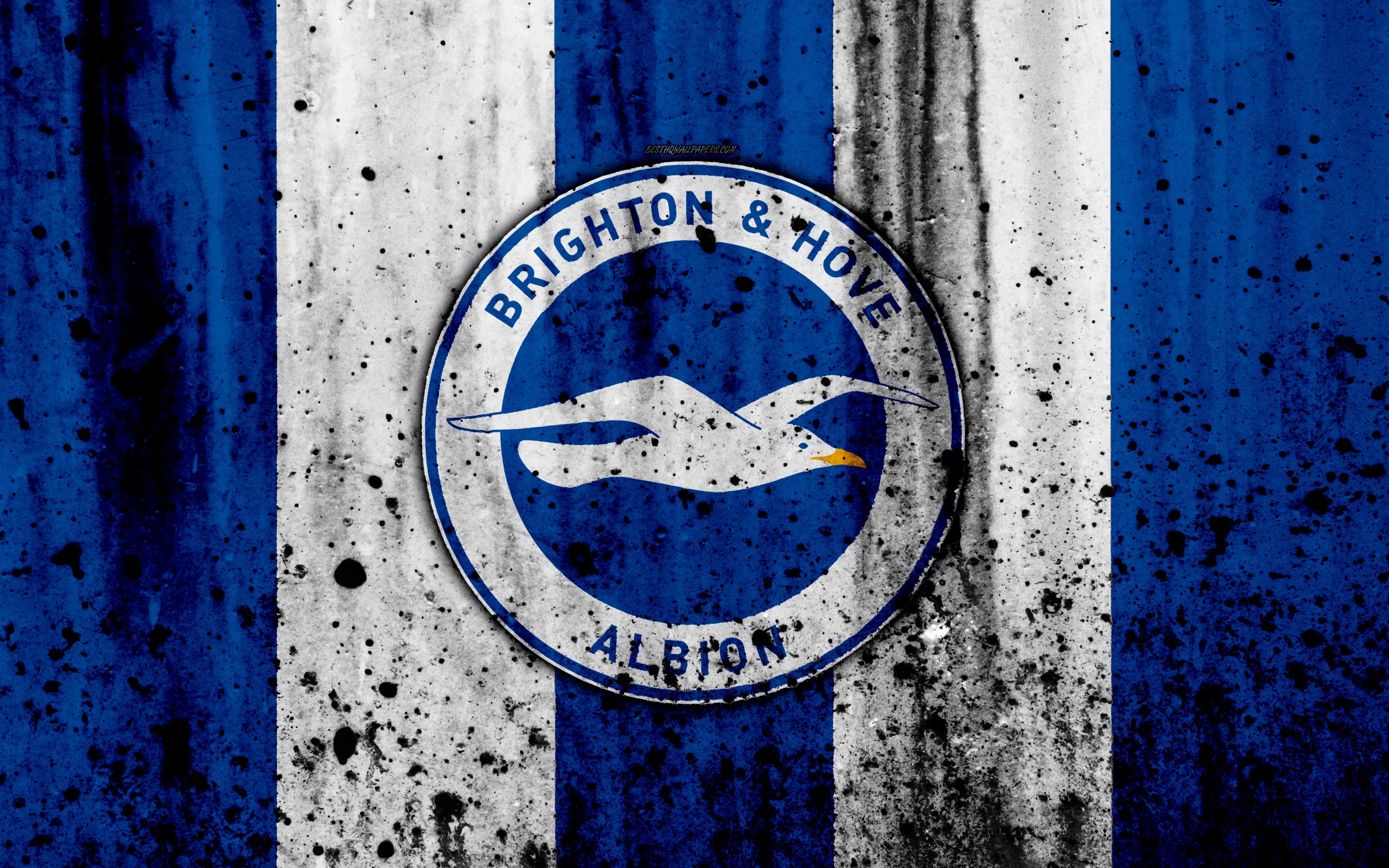 3840x2400 Download wallpaper FC Brighton and Hove Albion, 4k, Premier League, Desktop