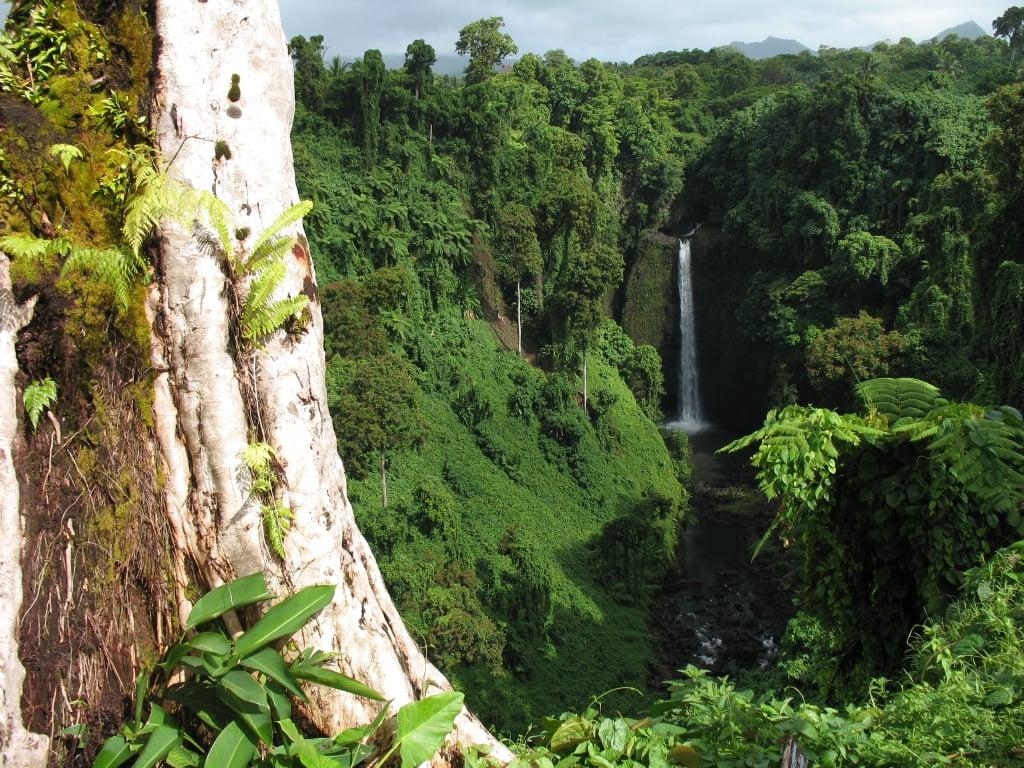 1030x770 Hike to the Sopoaga Waterfall in Samoa. Best Summer Travel, Desktop